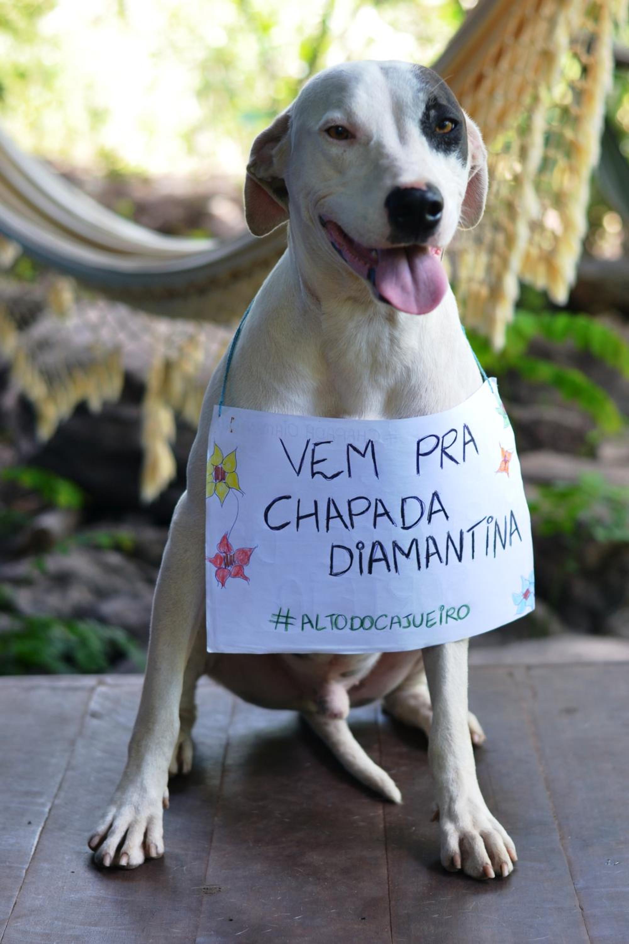 Pousada Alto do Cajueiro