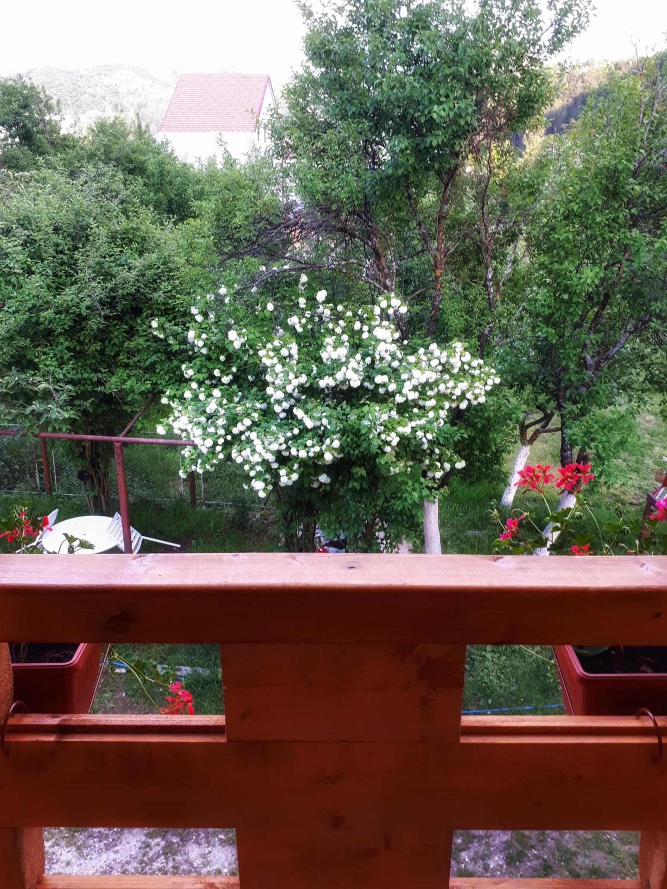 Photo 28