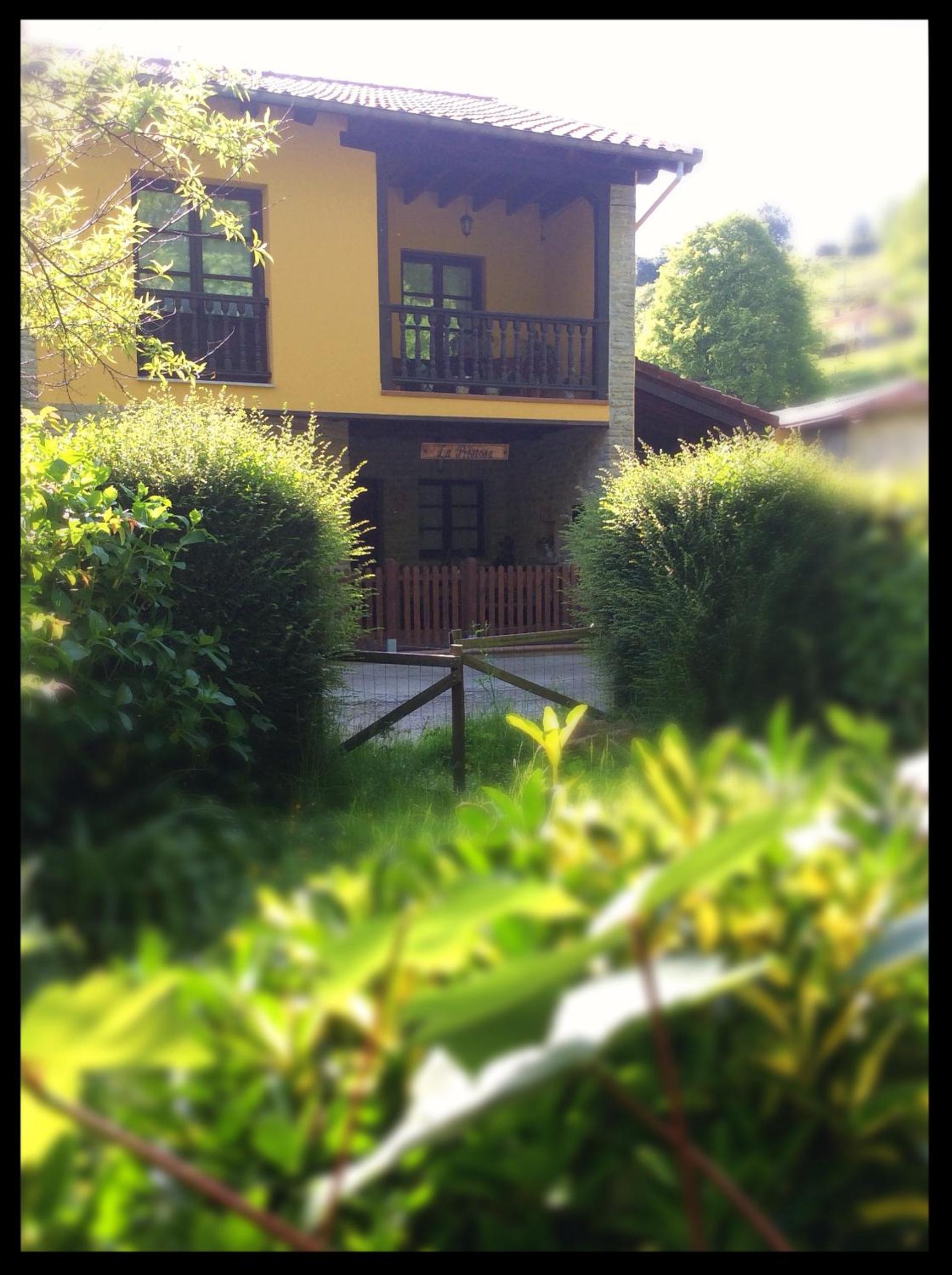 Photo 47