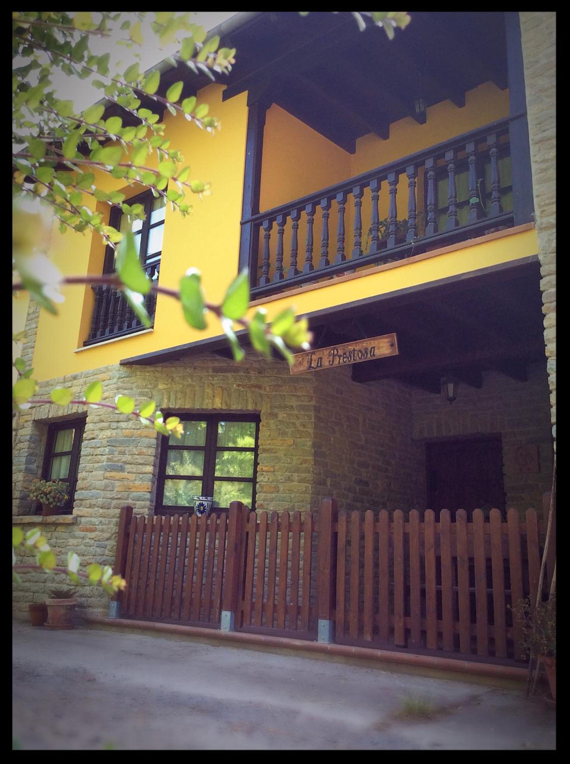 Photo 46