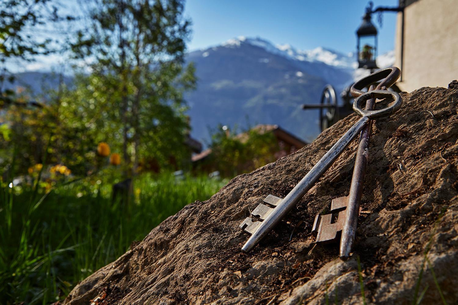 B&B La Forge de Diogne - luxury and cosy alpine lodge