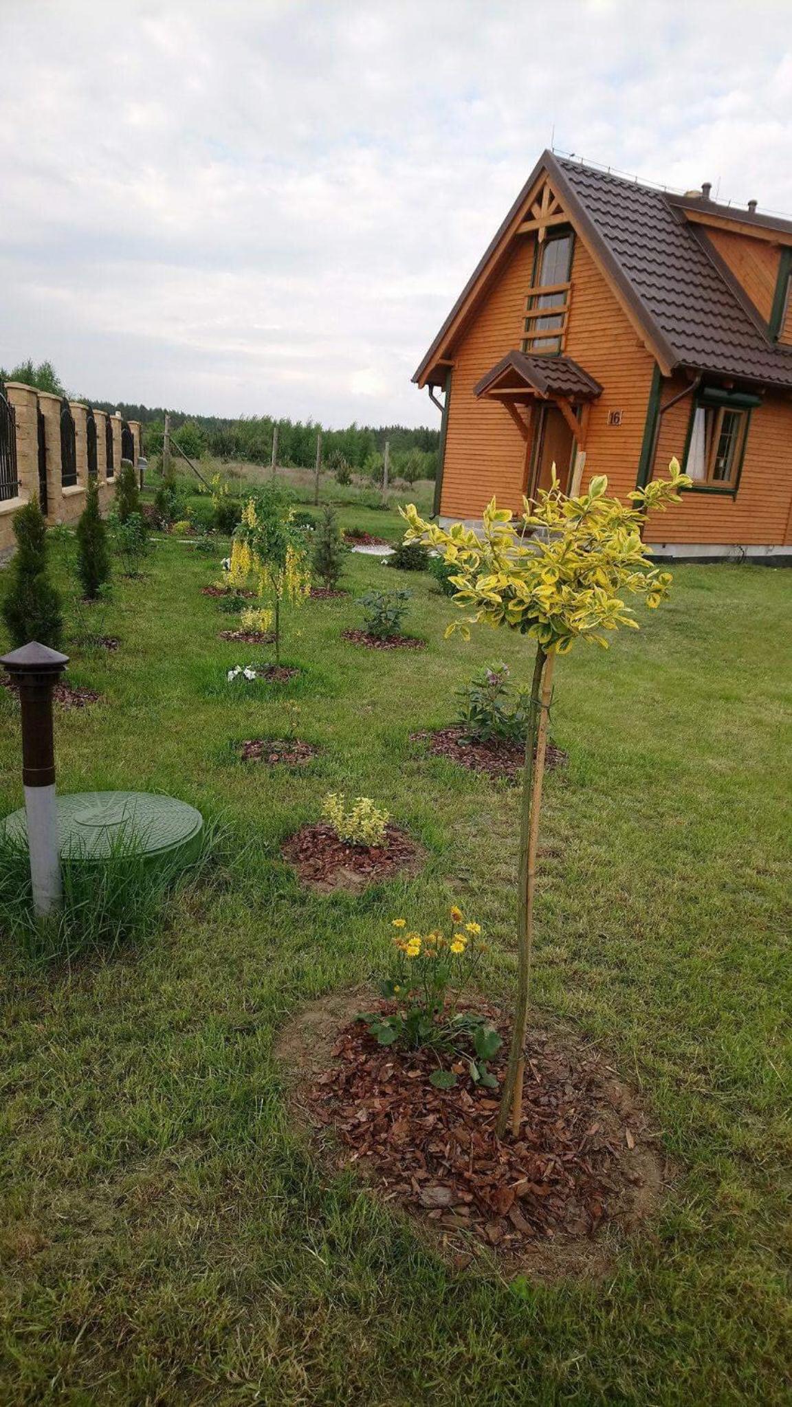 Lavender Cottage view 2