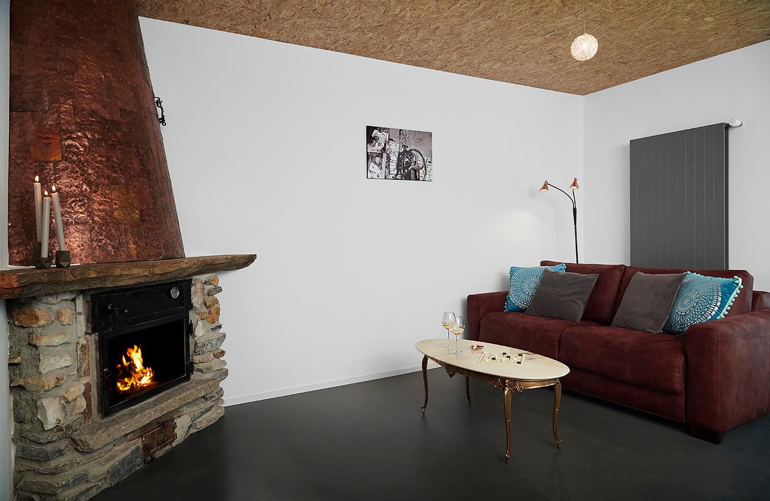 B&B La Forge de Diogne - luxury and cosy alpine lodge