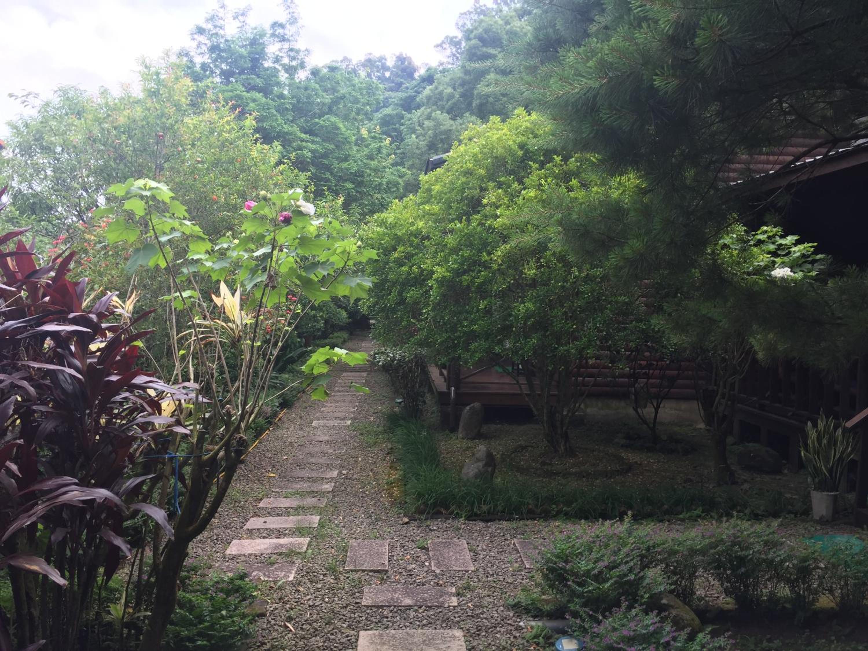 Photo 16