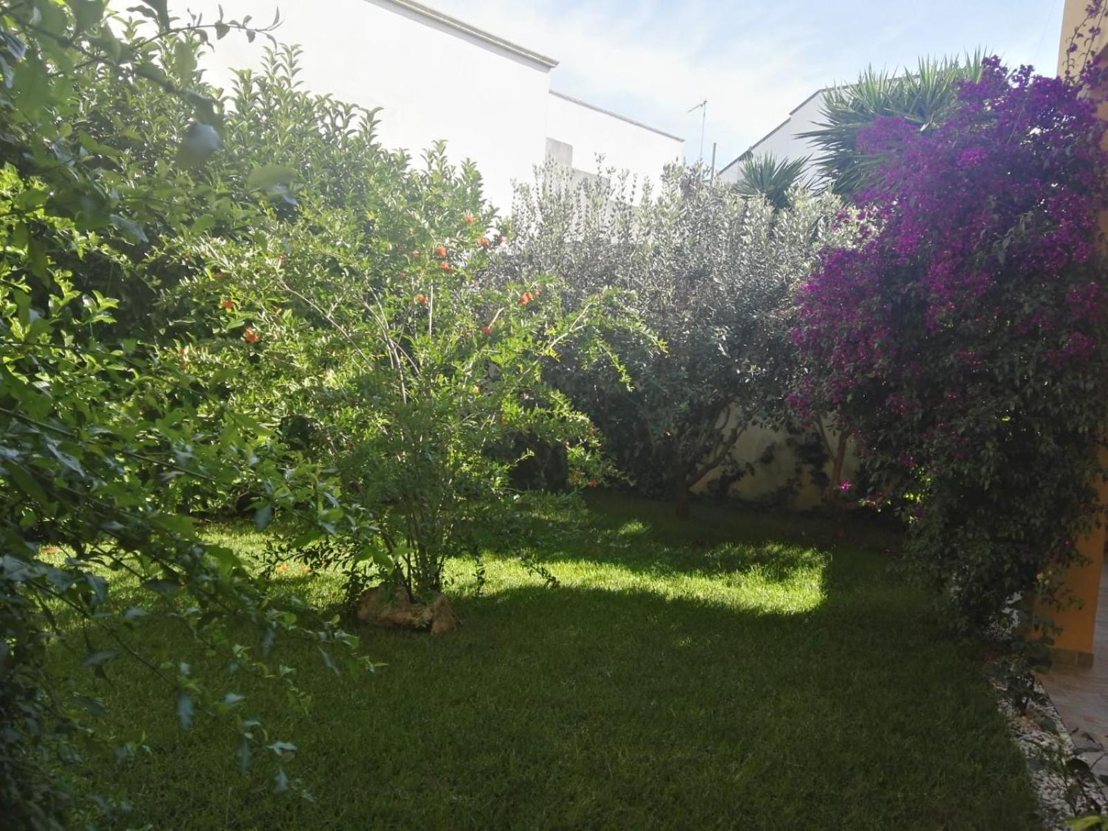 Photo 35