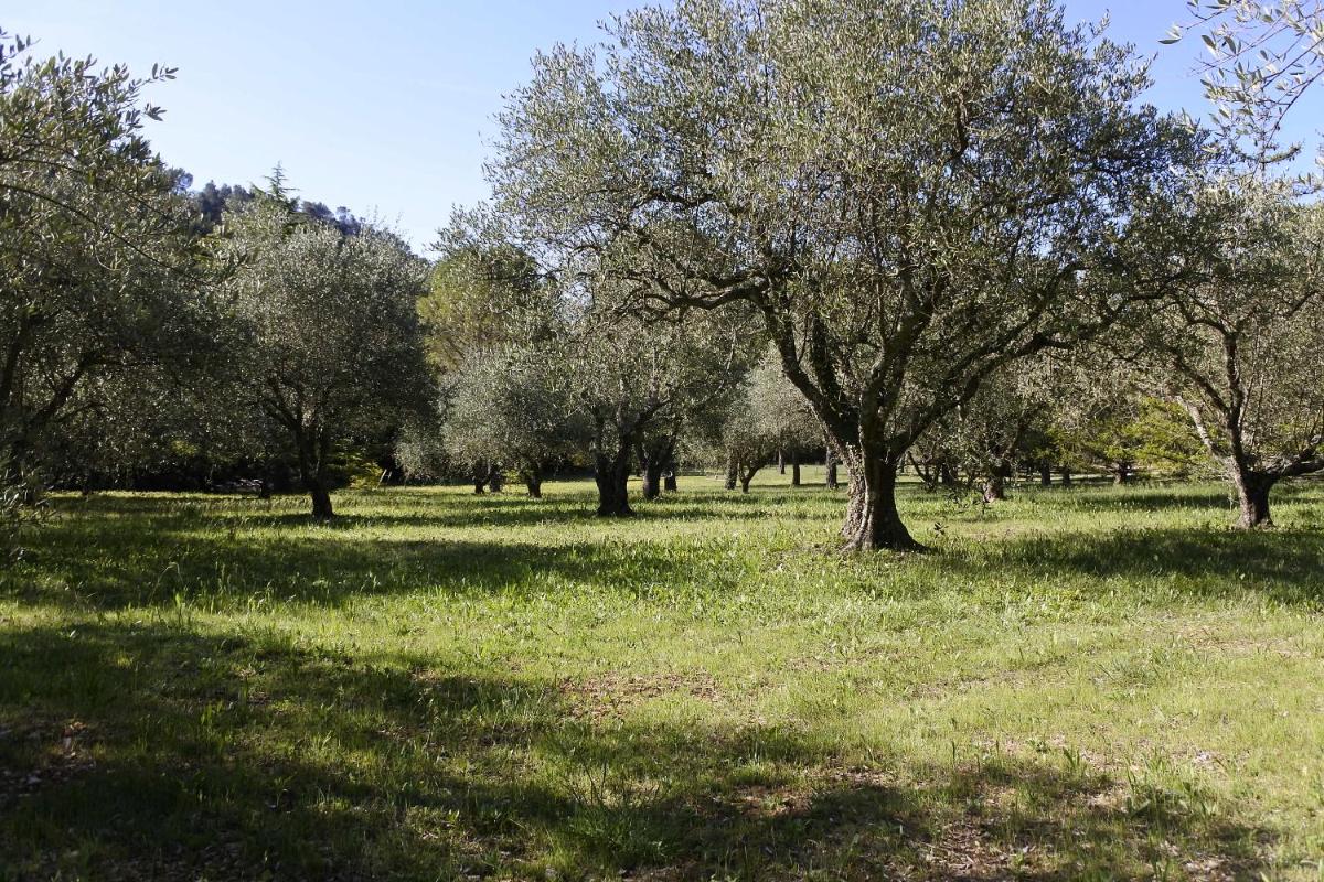 La Bastide de la Provence Verte