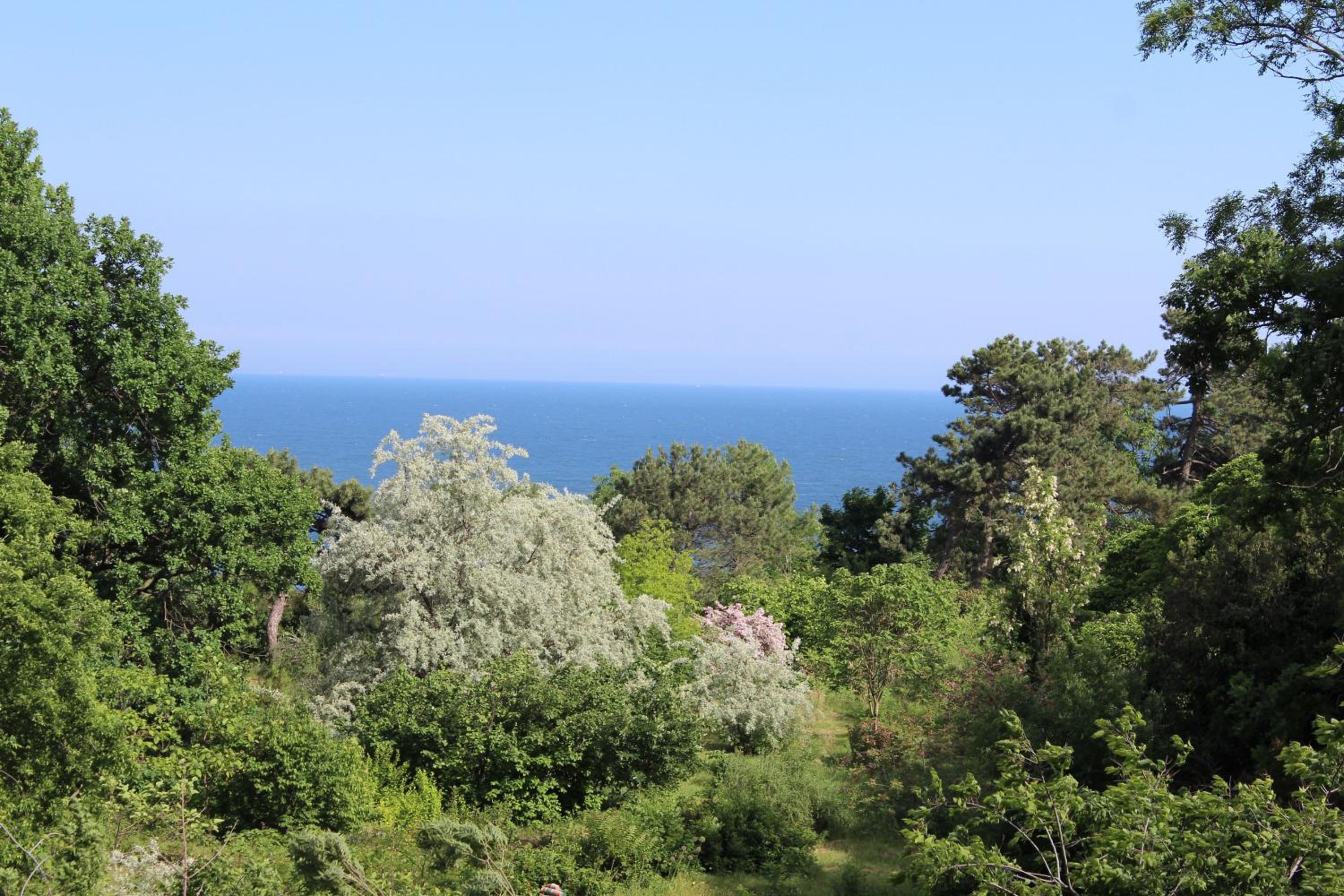 Photo 45