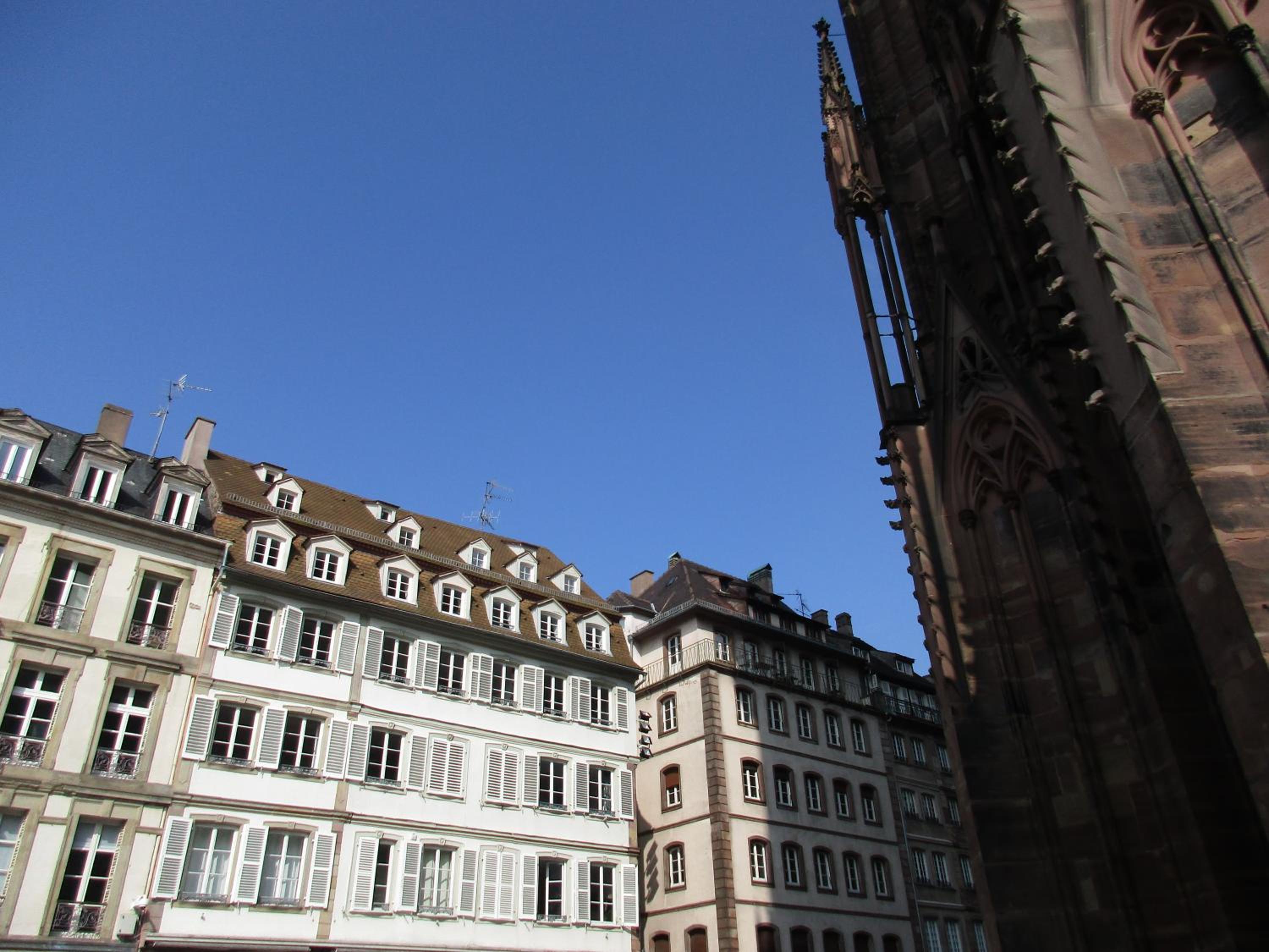Les appartements Place de la Cathédrale - Image 4