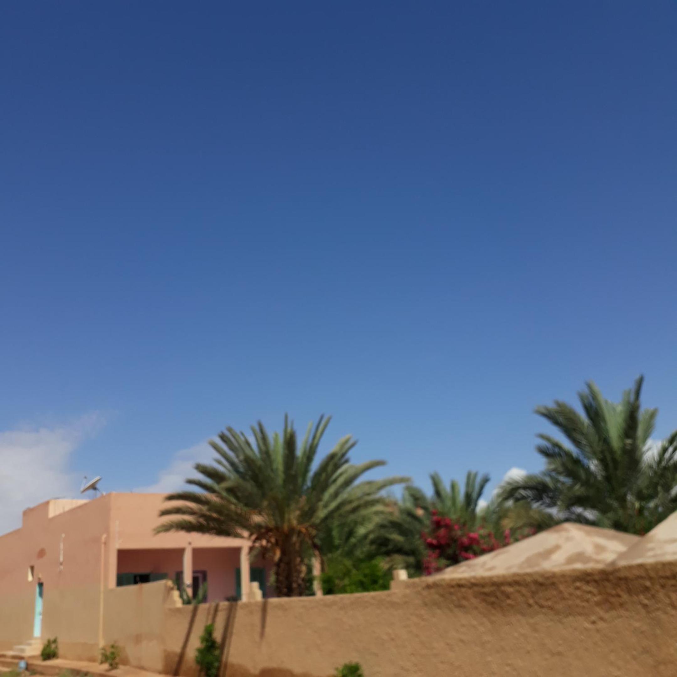 Oasispalmares view 4