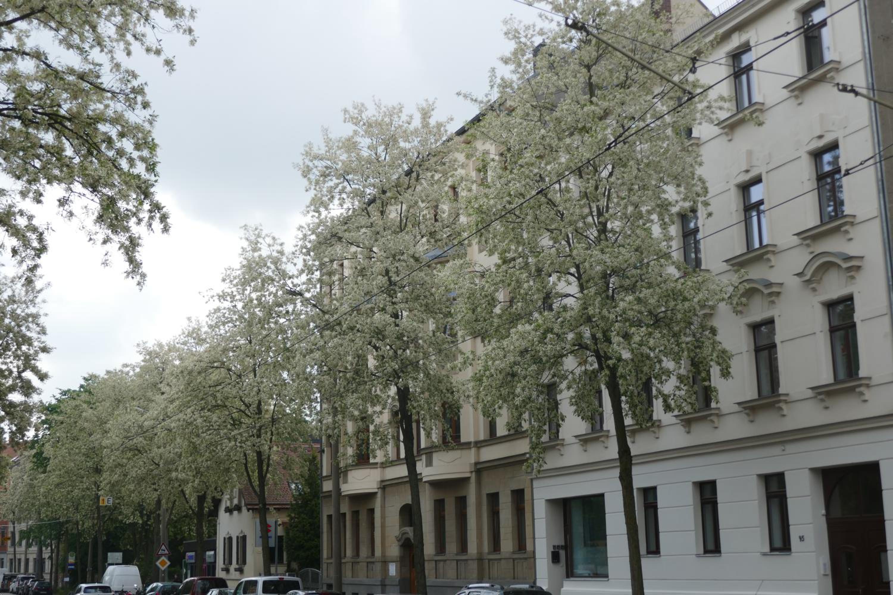 Leipzig Vacations - Leipzig-in - Property Image 7