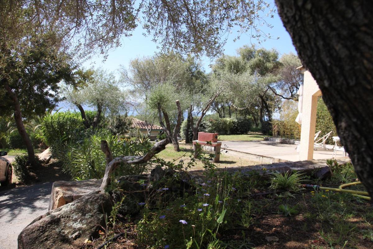 Photo 42