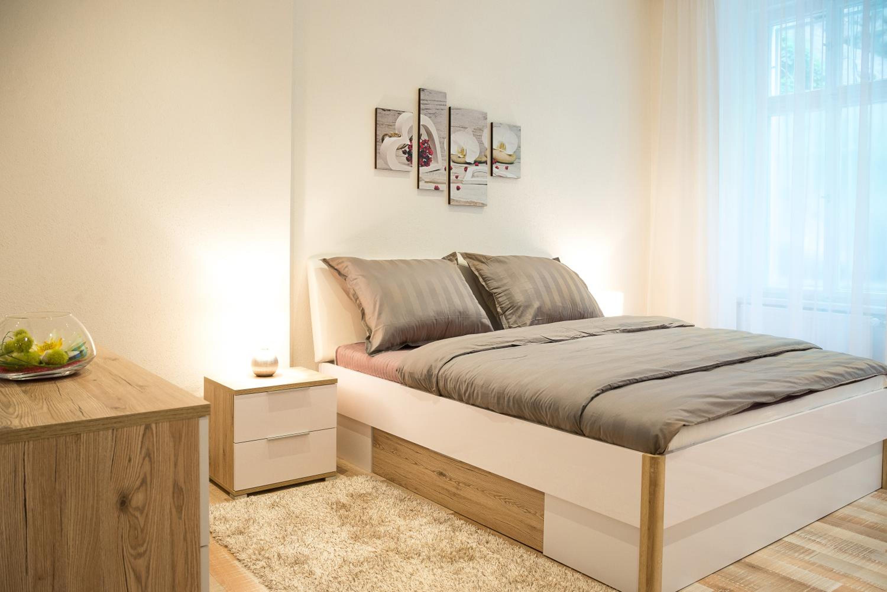 Apartment Aesculap