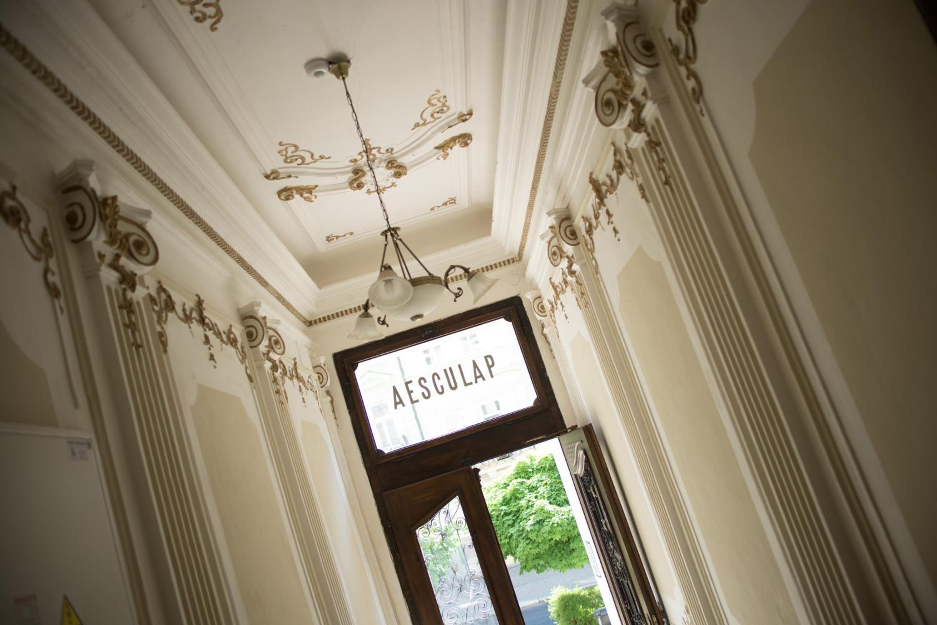 Apartment Aesculap