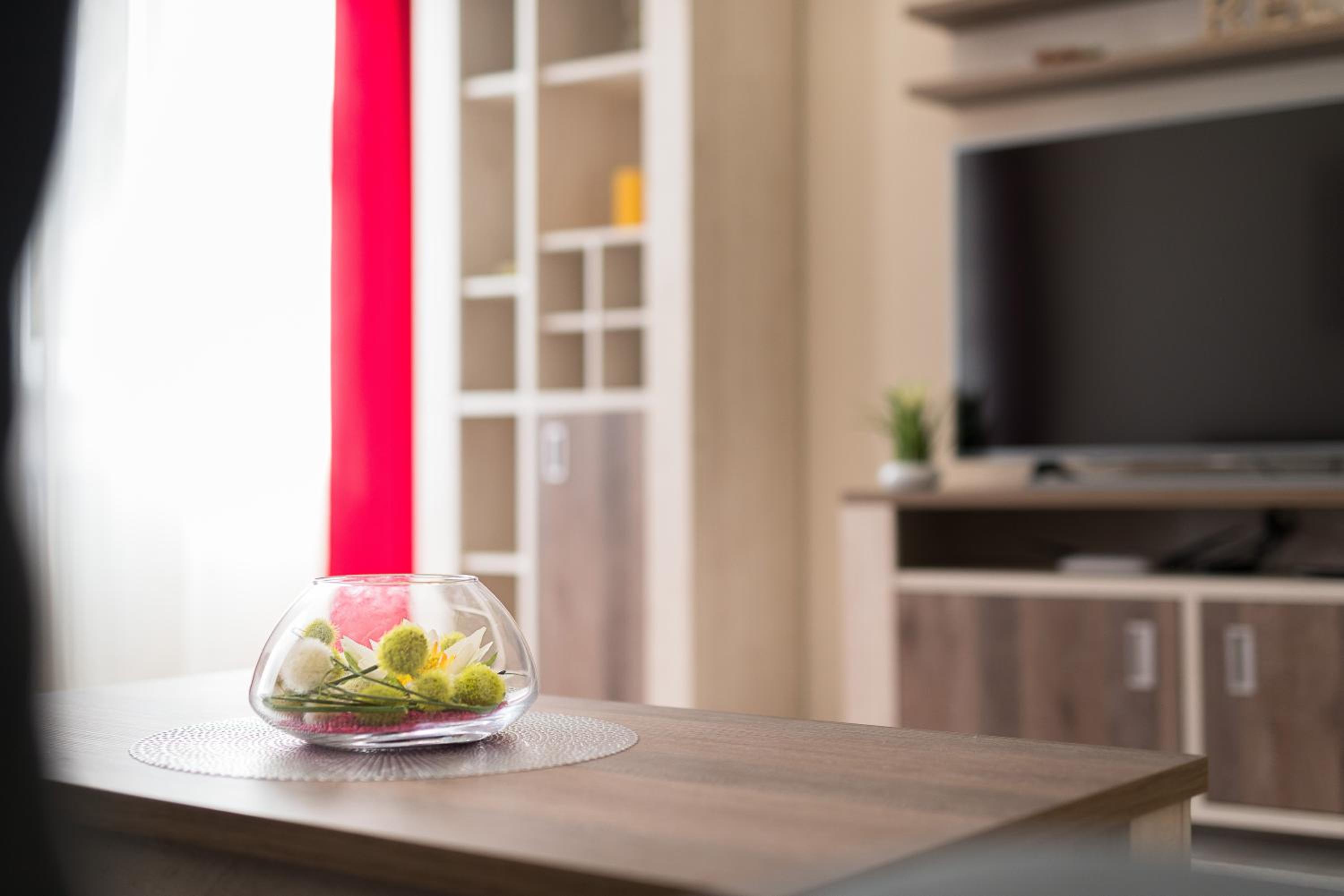 Apartment Aesculap