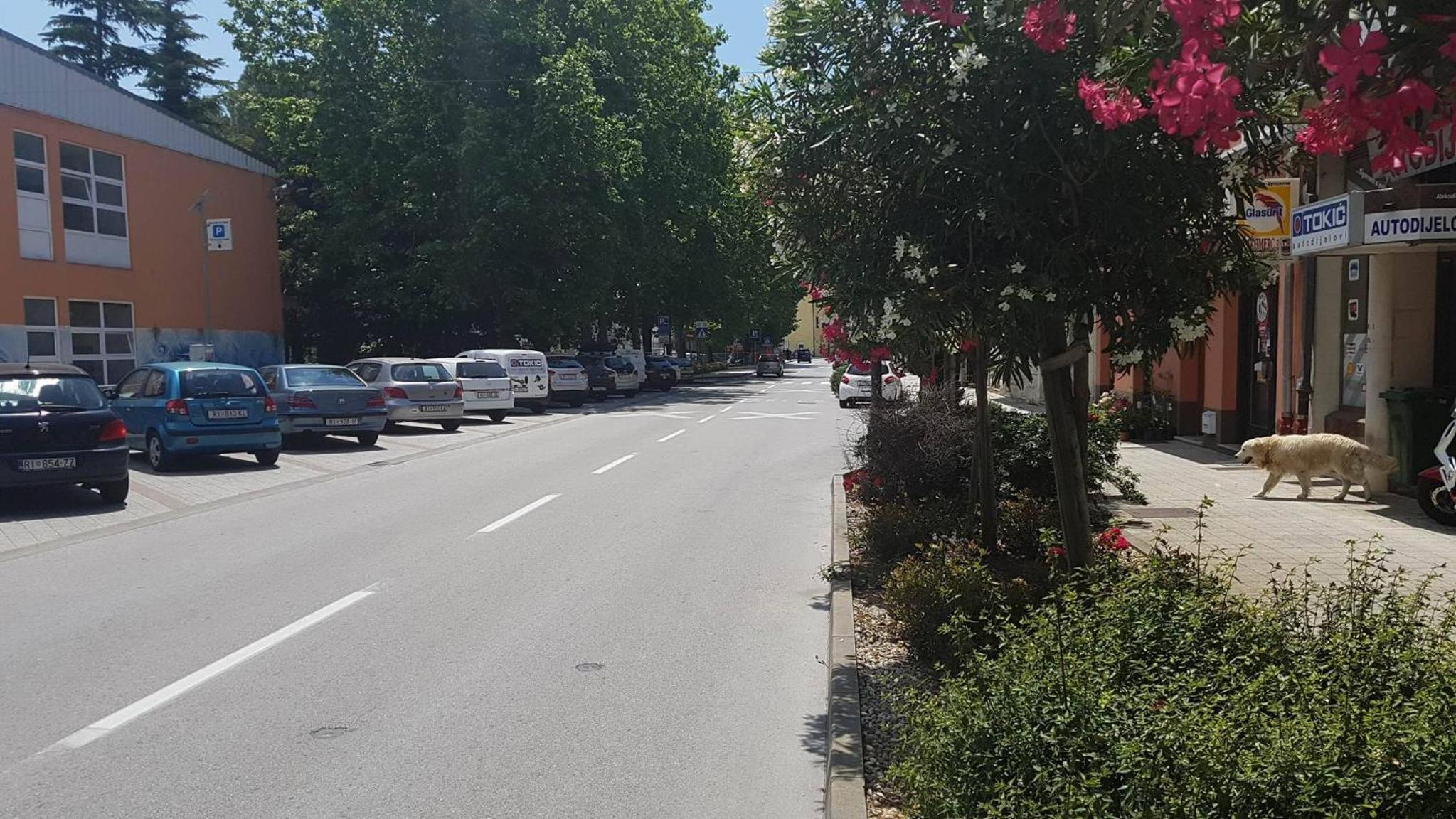 apartmandamir