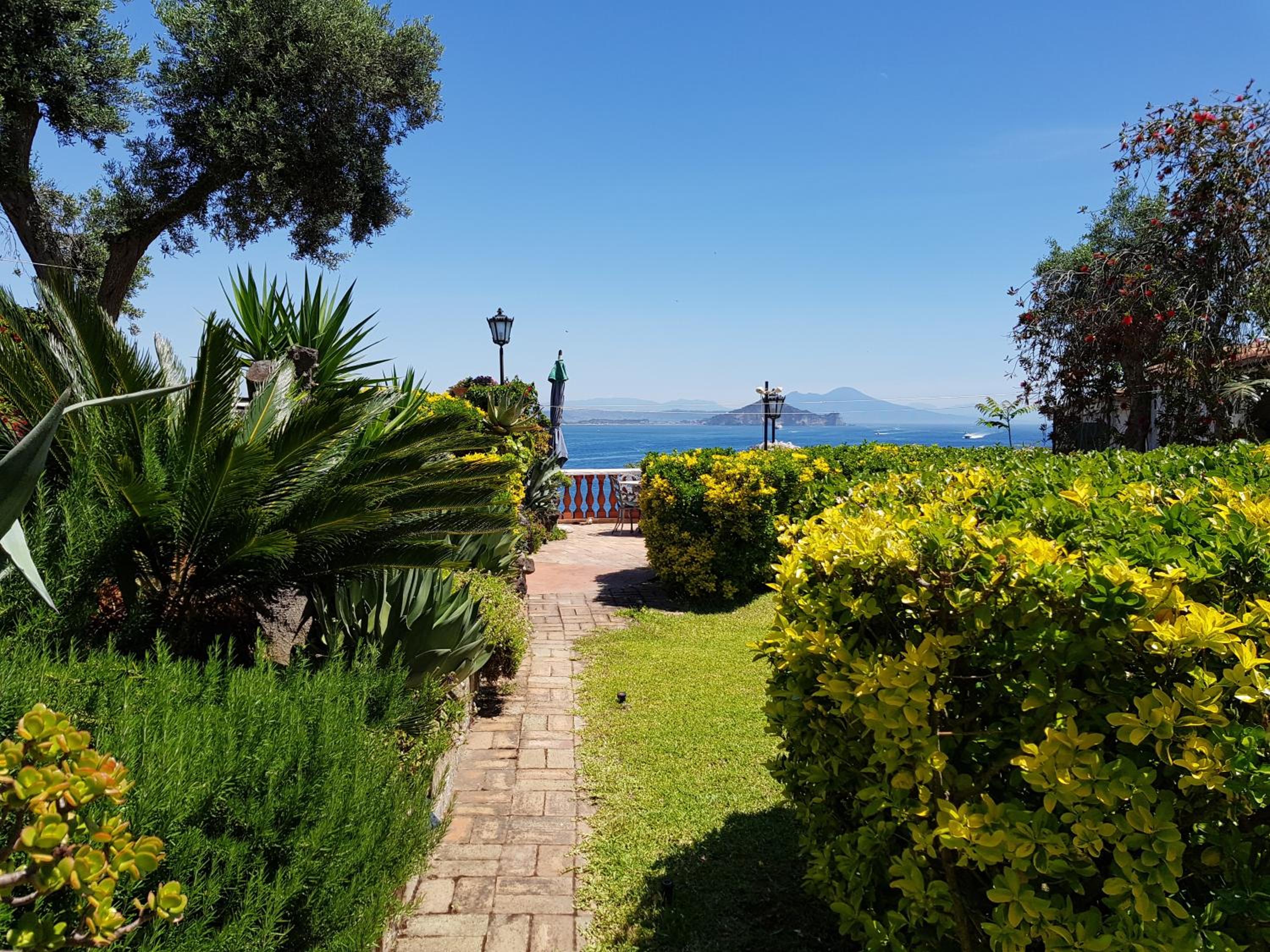 Summer Paradise photo 3