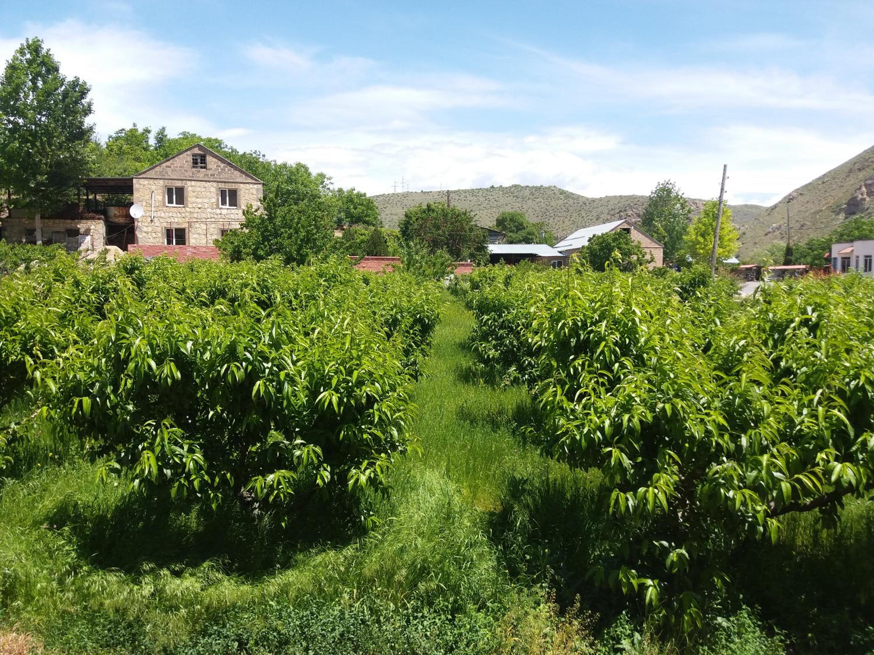 Areni Tavern-B&B