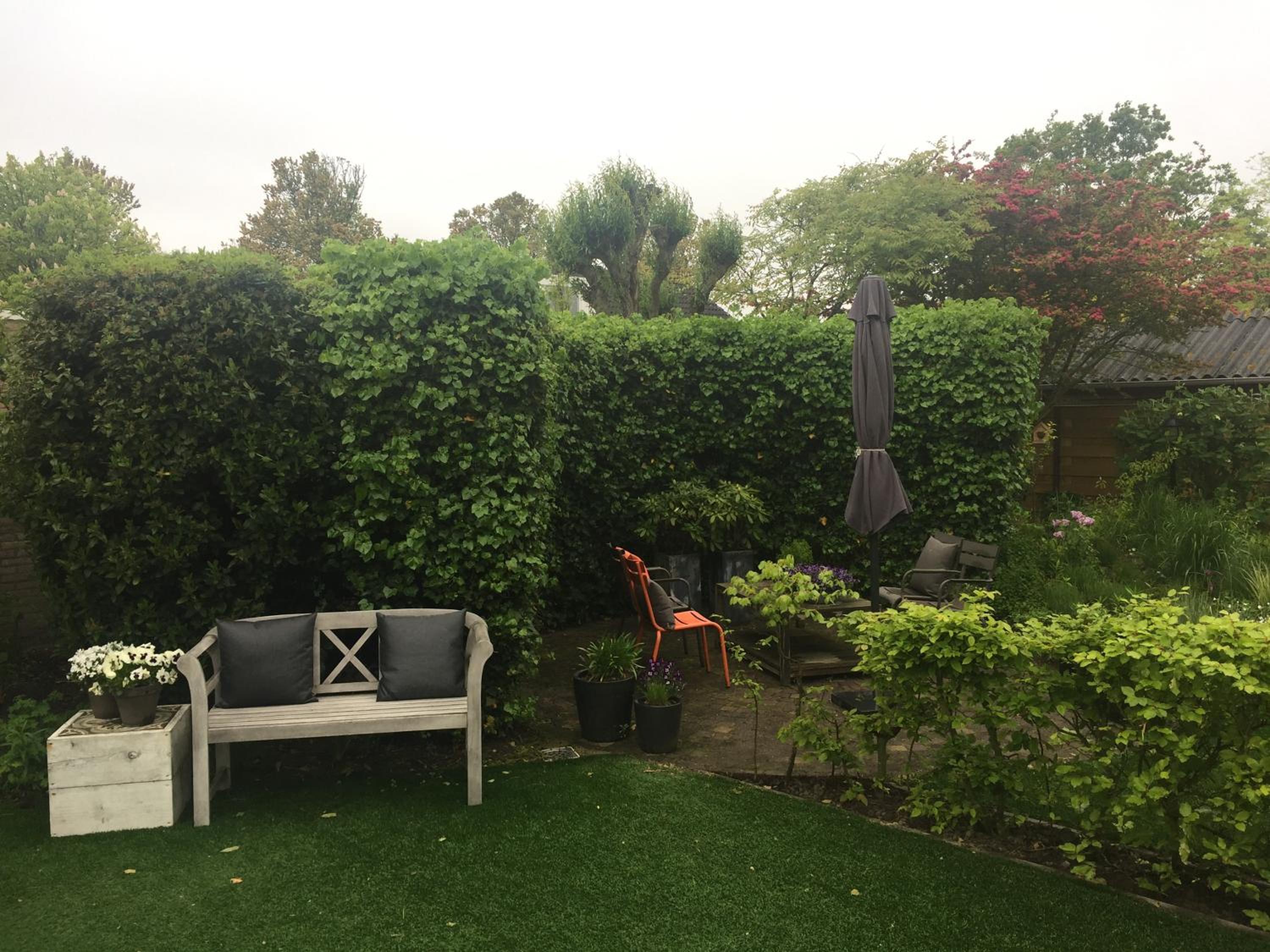 Photo 25