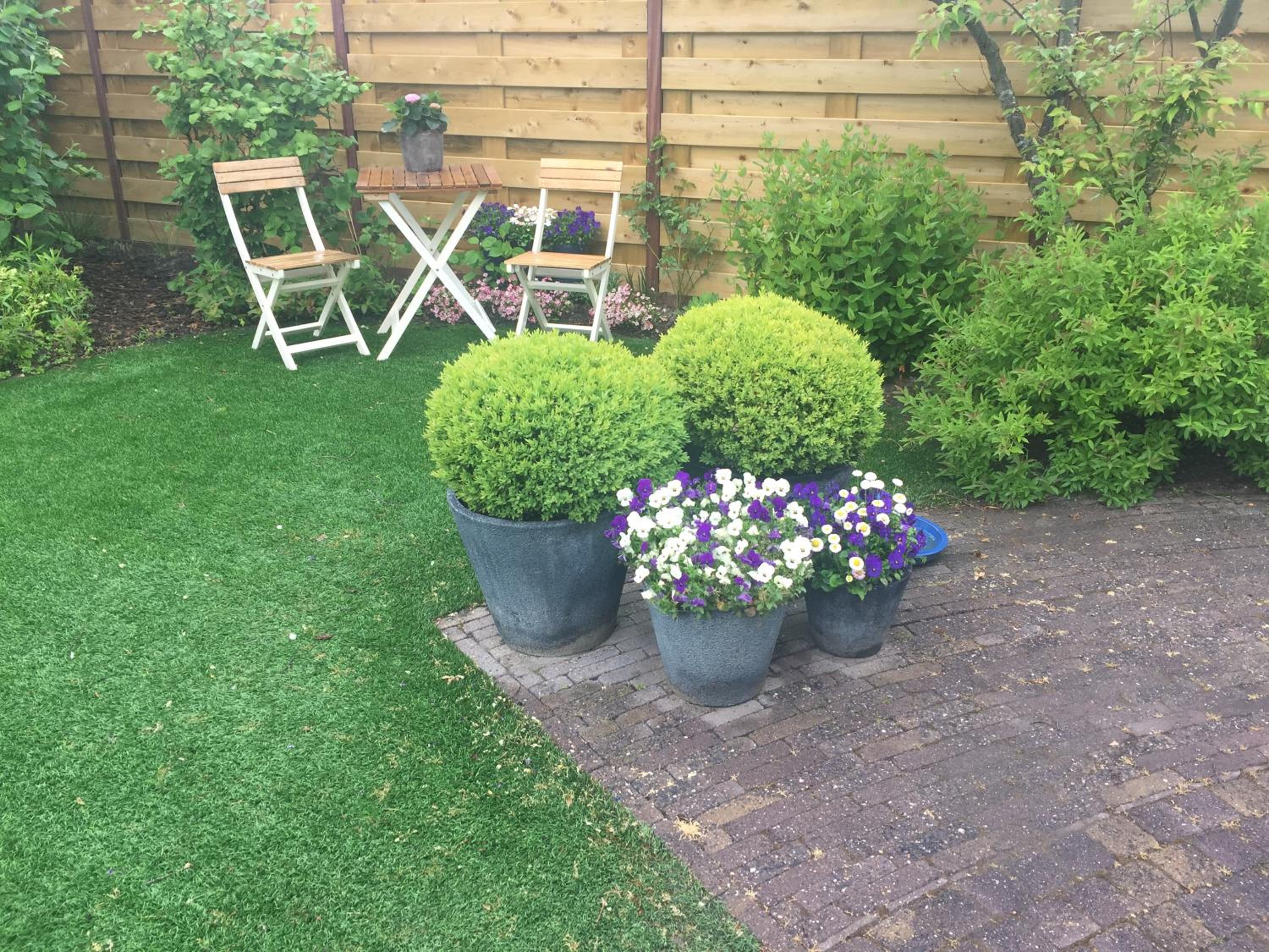 Photo 26