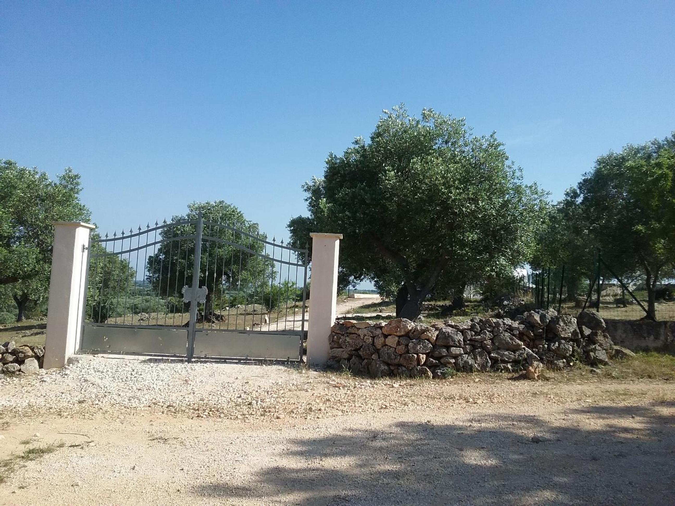 Photo 20