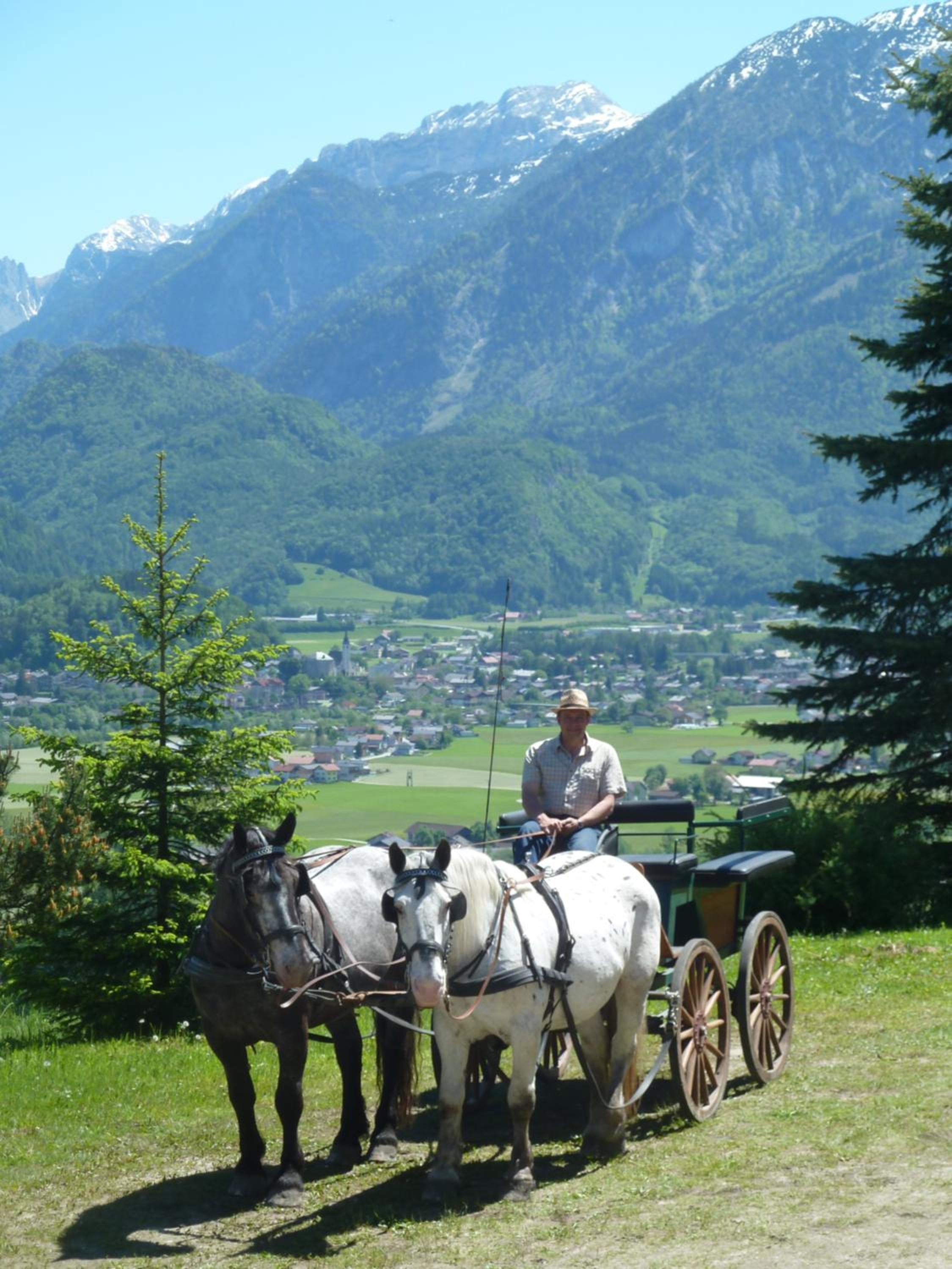 Pension Schöne Aussicht