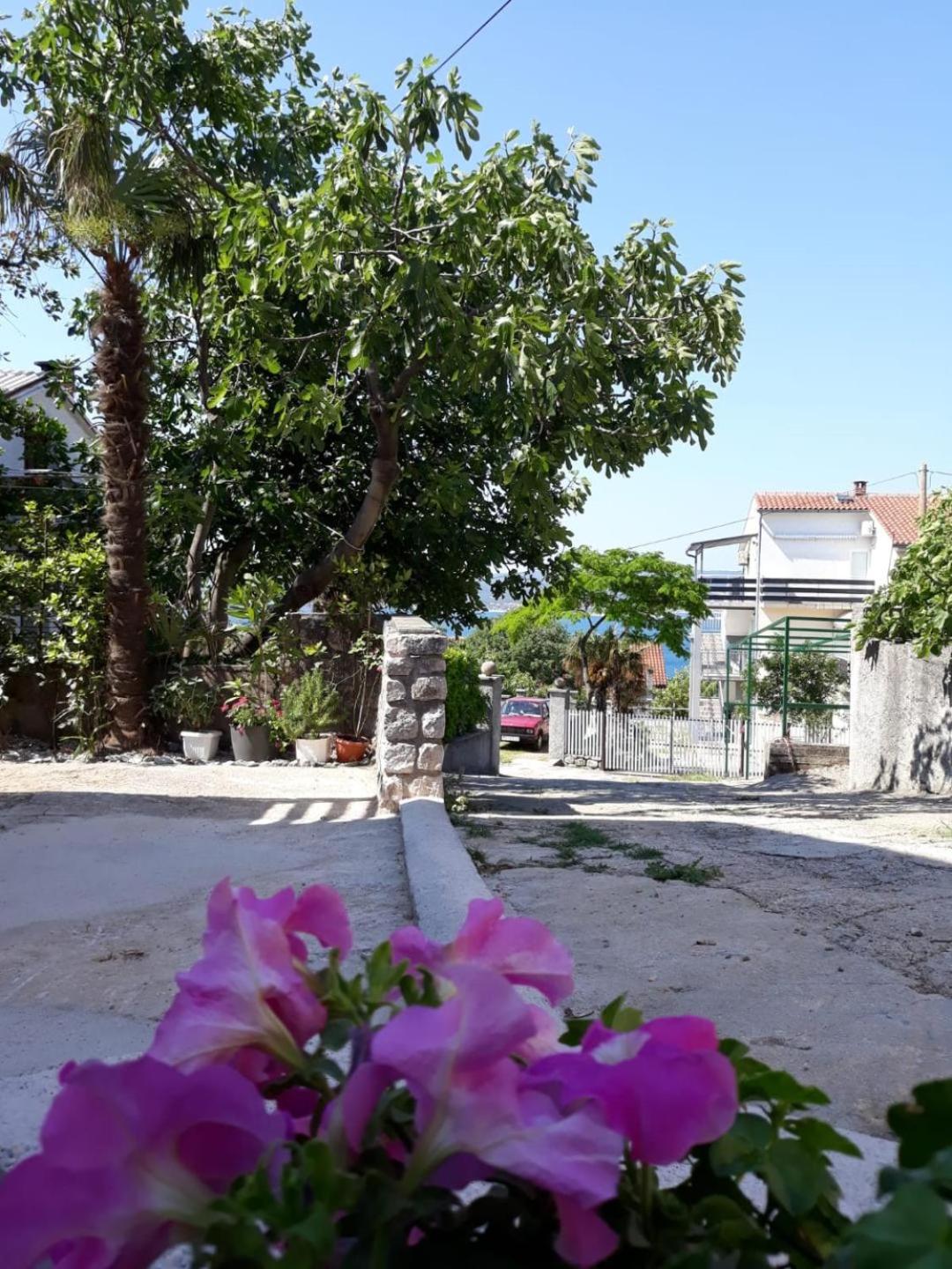 Apartment Mare view 3