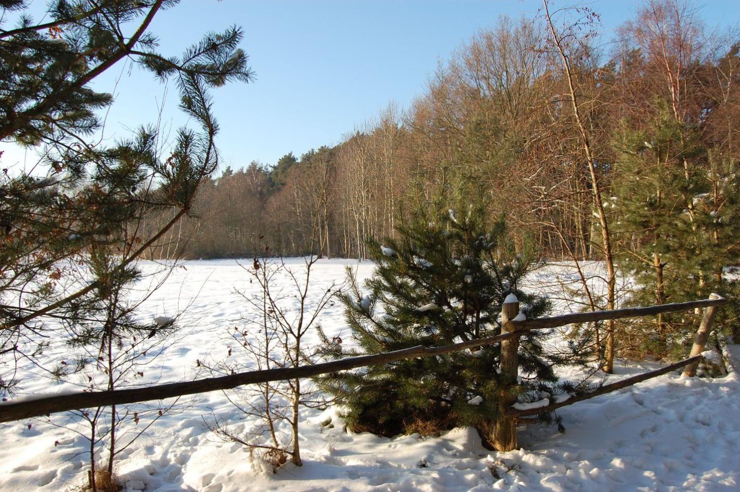Photo 28