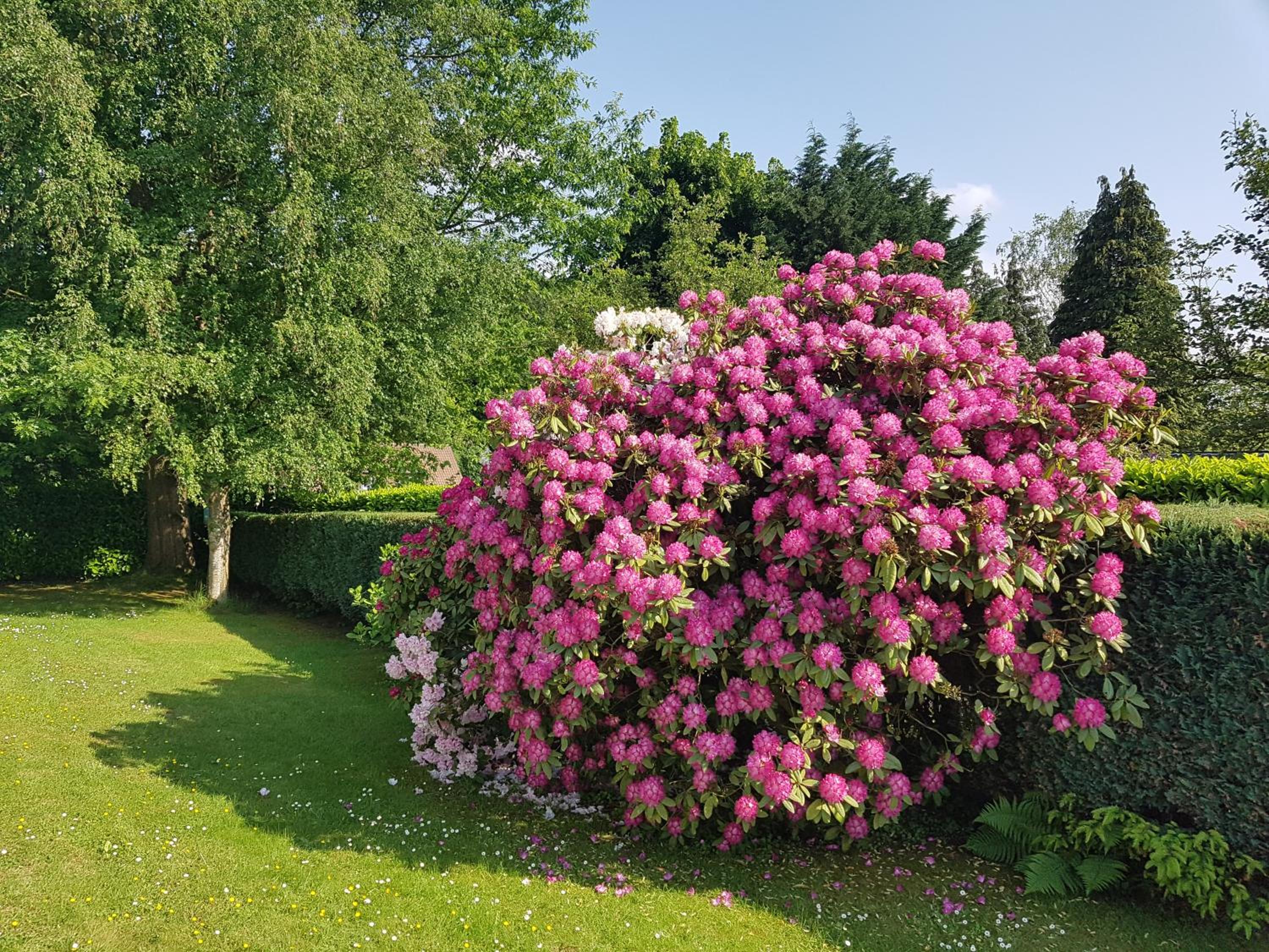 B&B prince d’Orange Waterloo