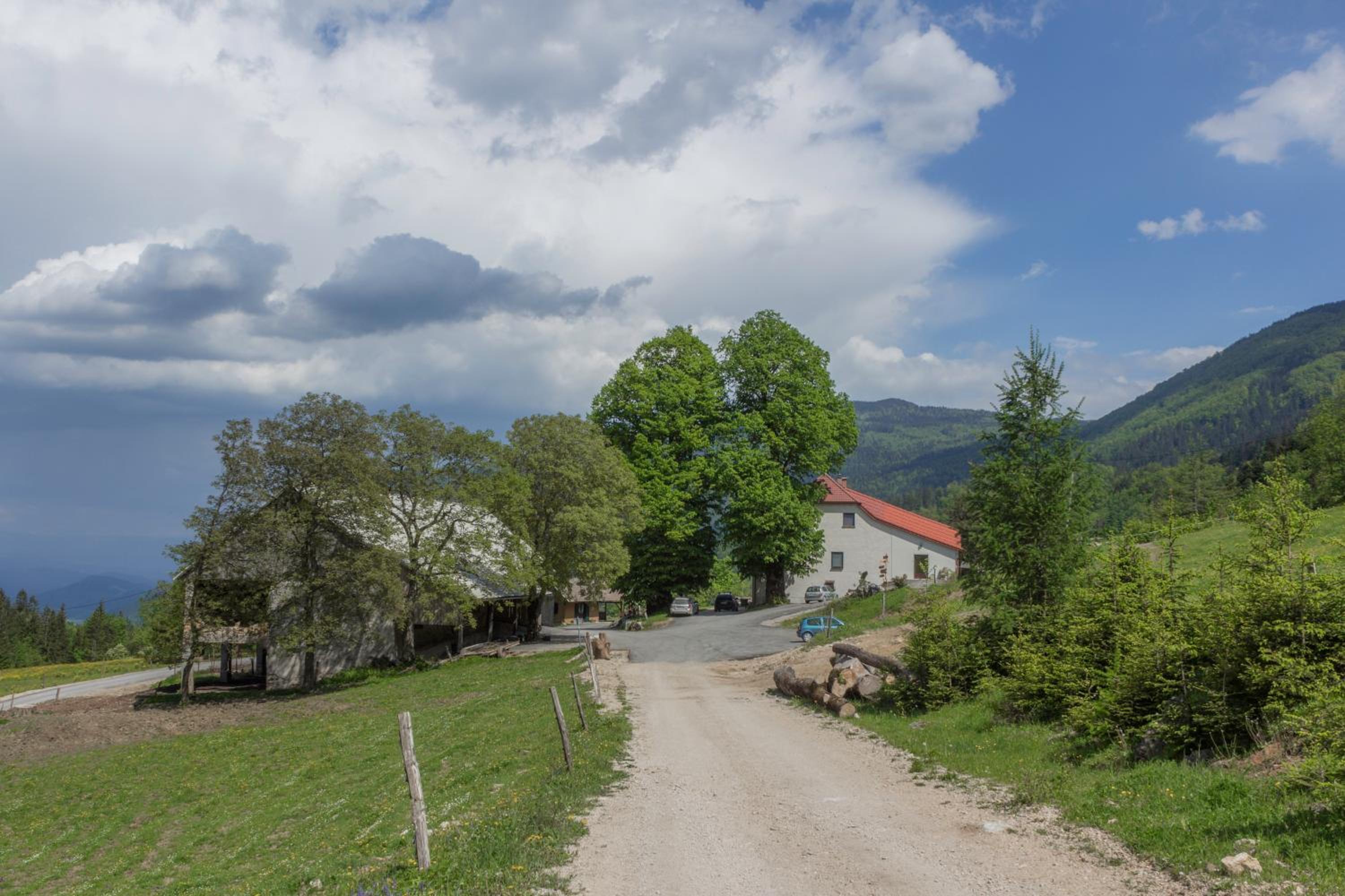 Turistična Kmetija Toman view 3