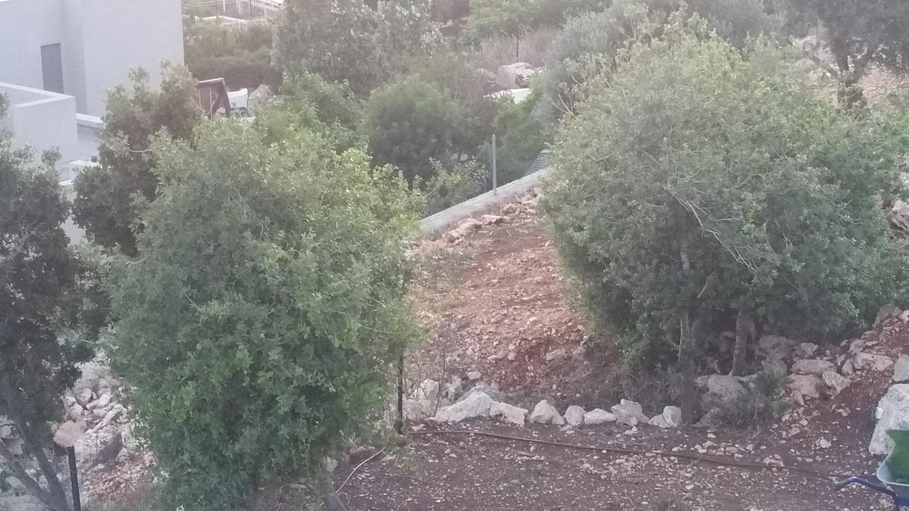 Photo 47