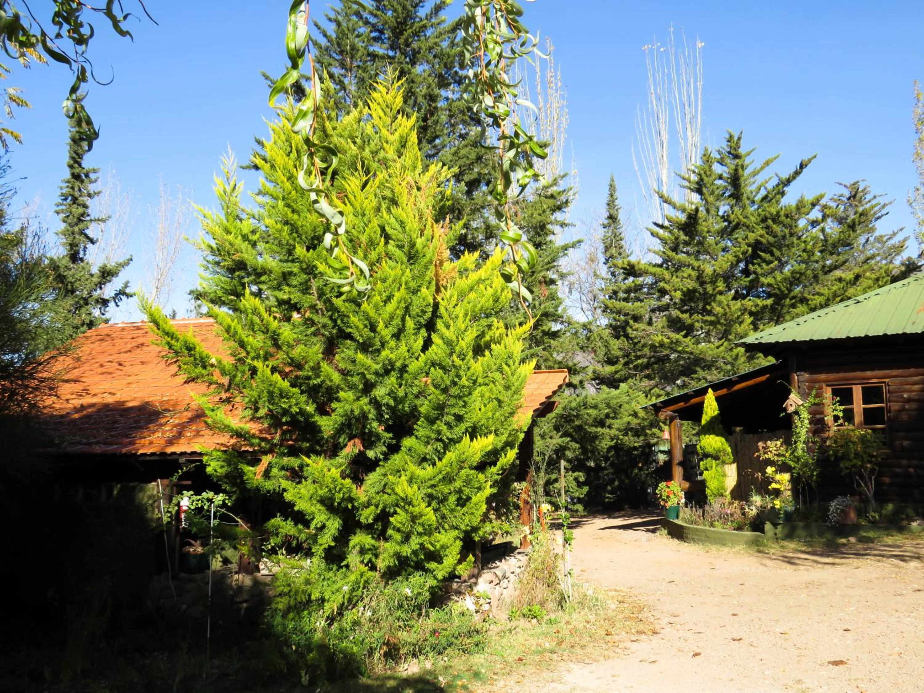 Cabanas Sumampa