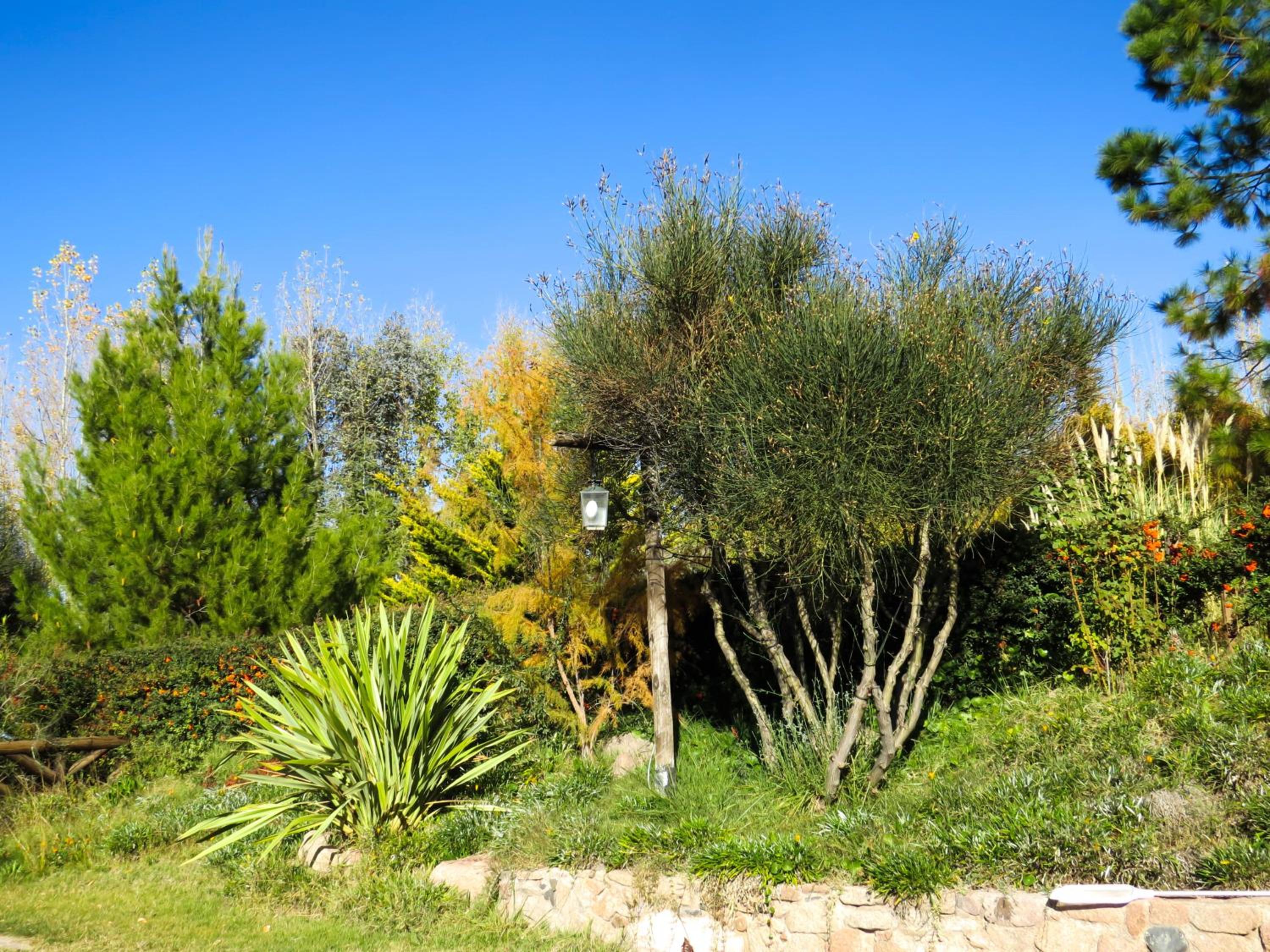 Cabanas Sumampa