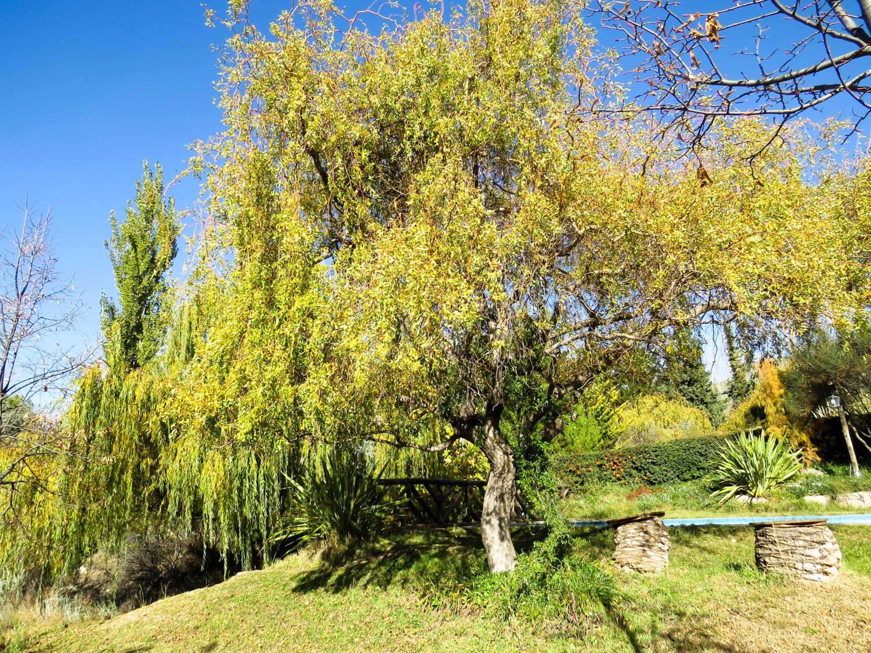 Cabanas Sumampa