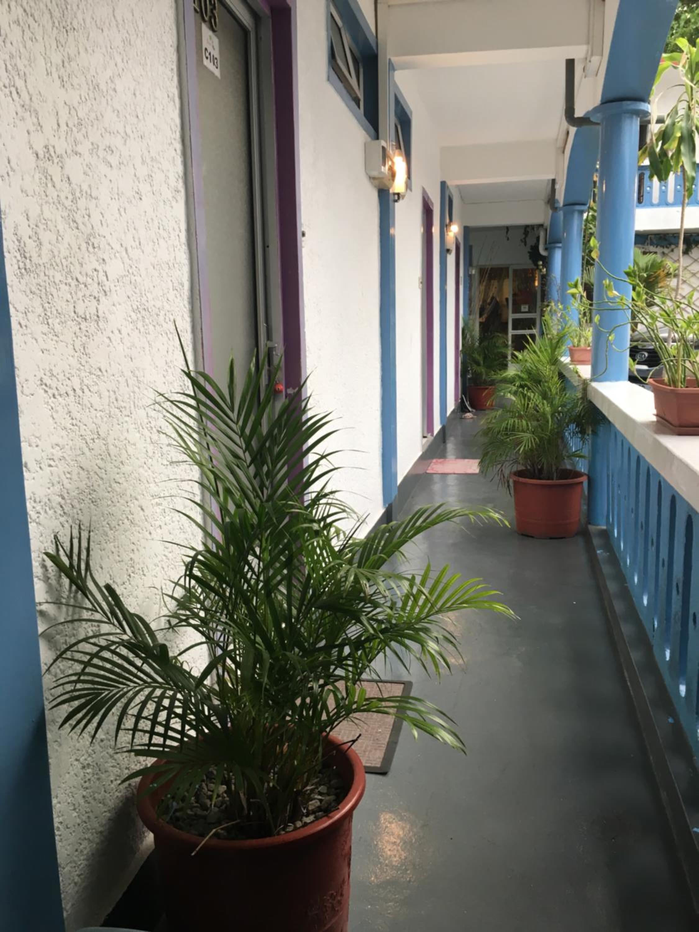 Coco Villa