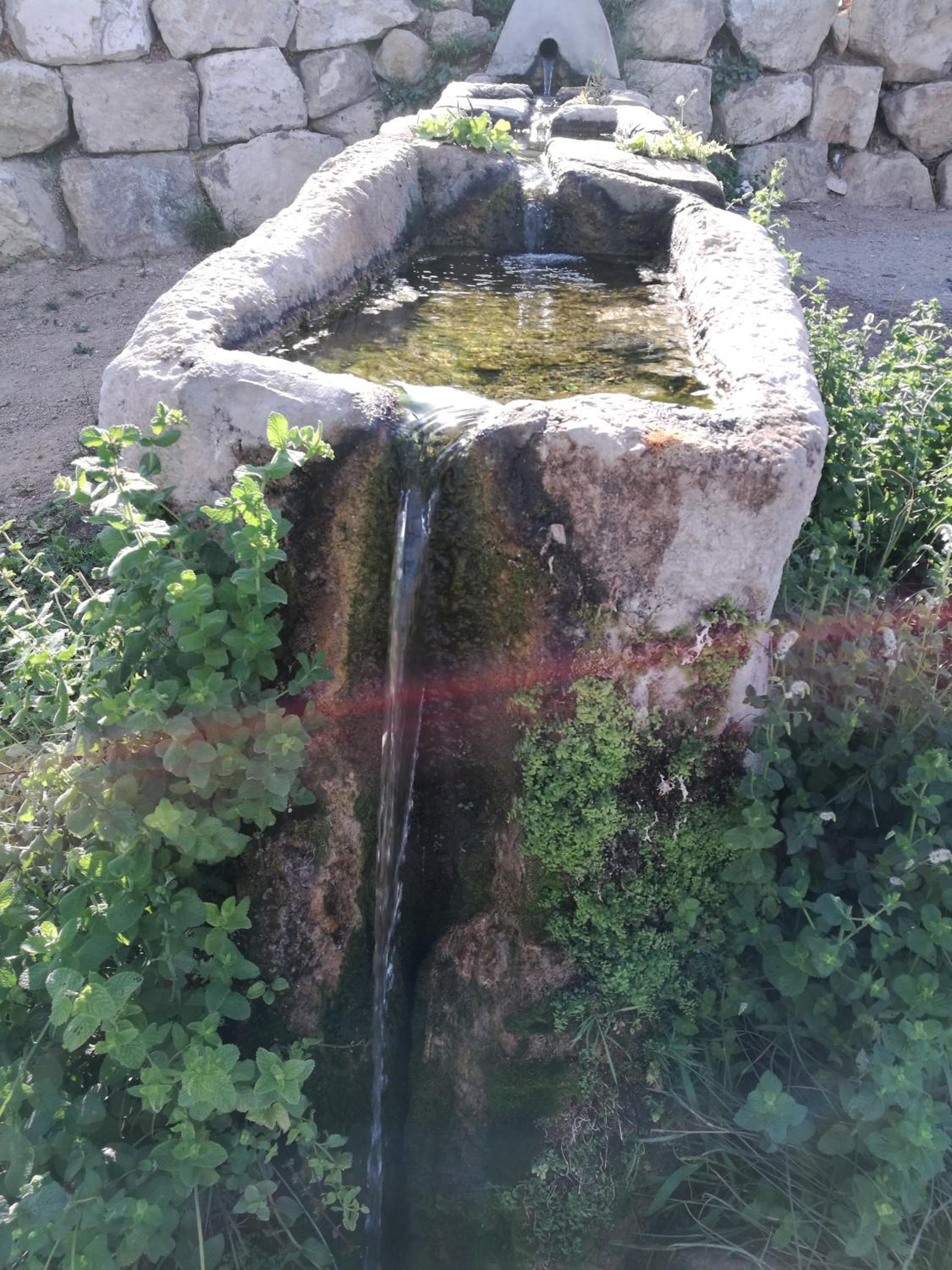 Photo 53