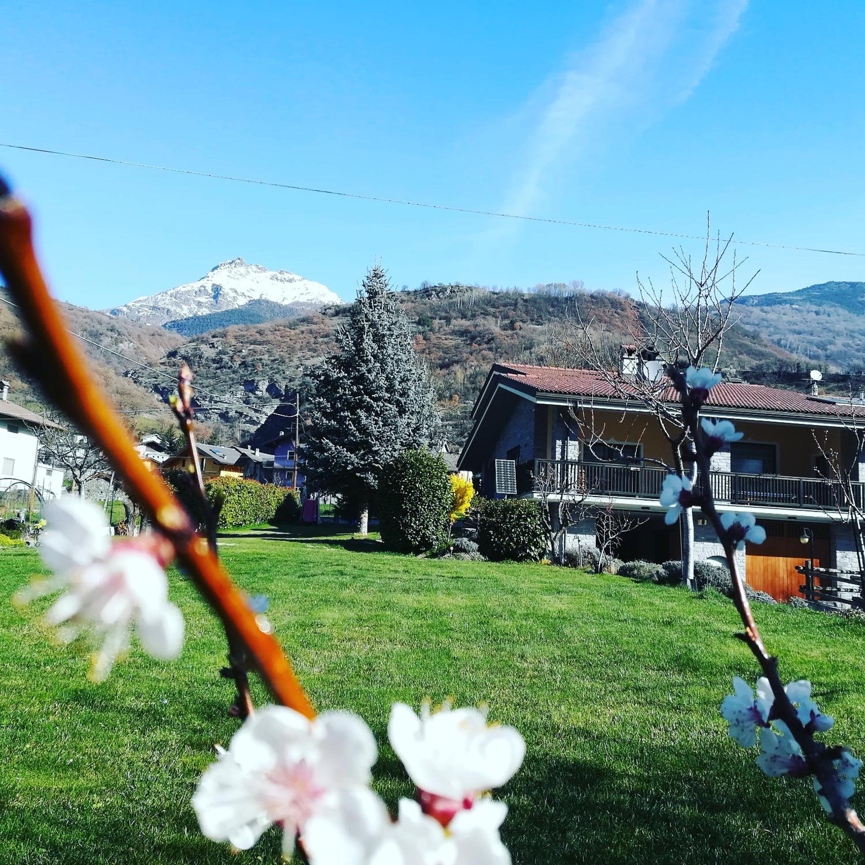 Le Joli Rosier view 4
