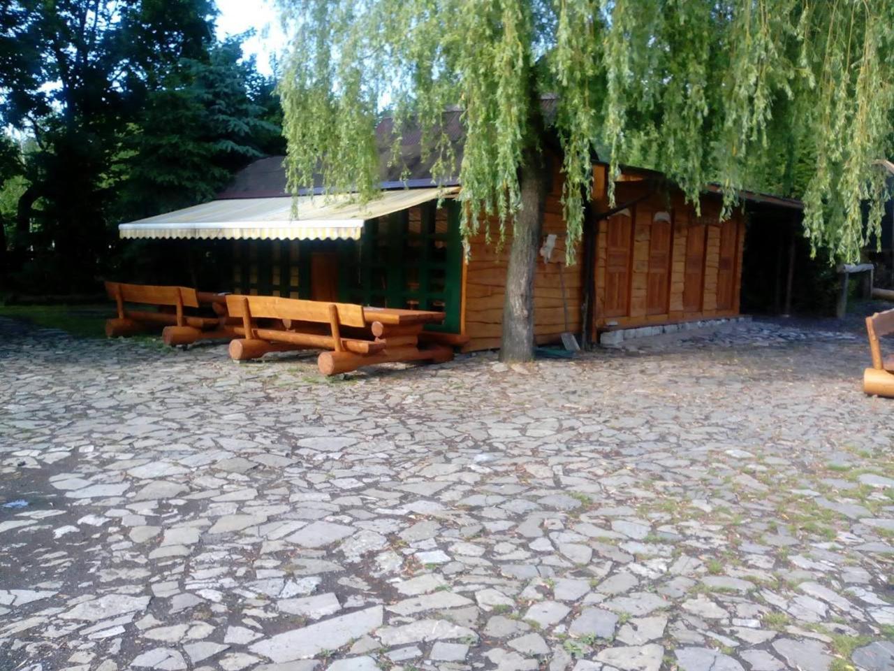 Photo 18