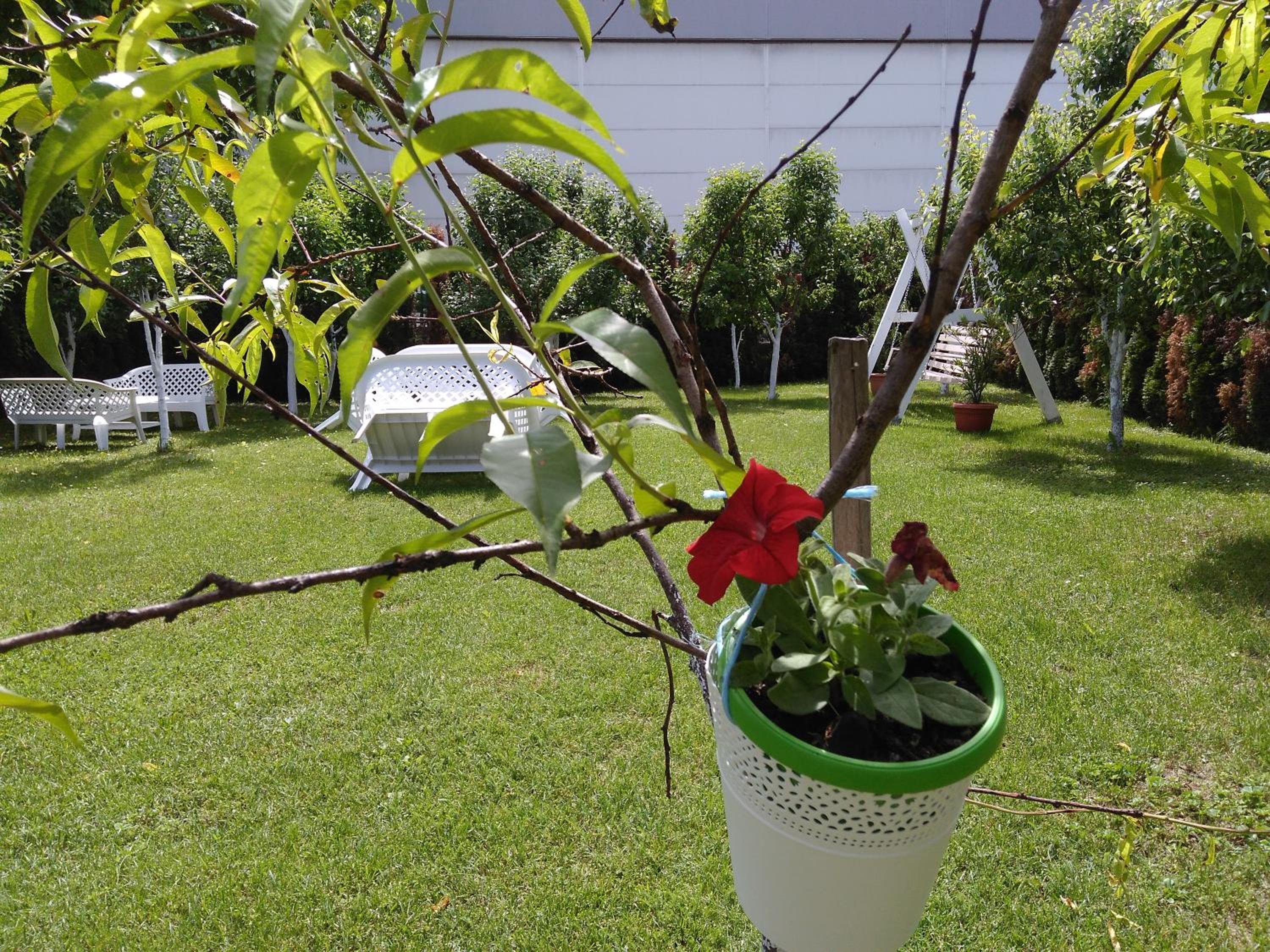 Photo 18