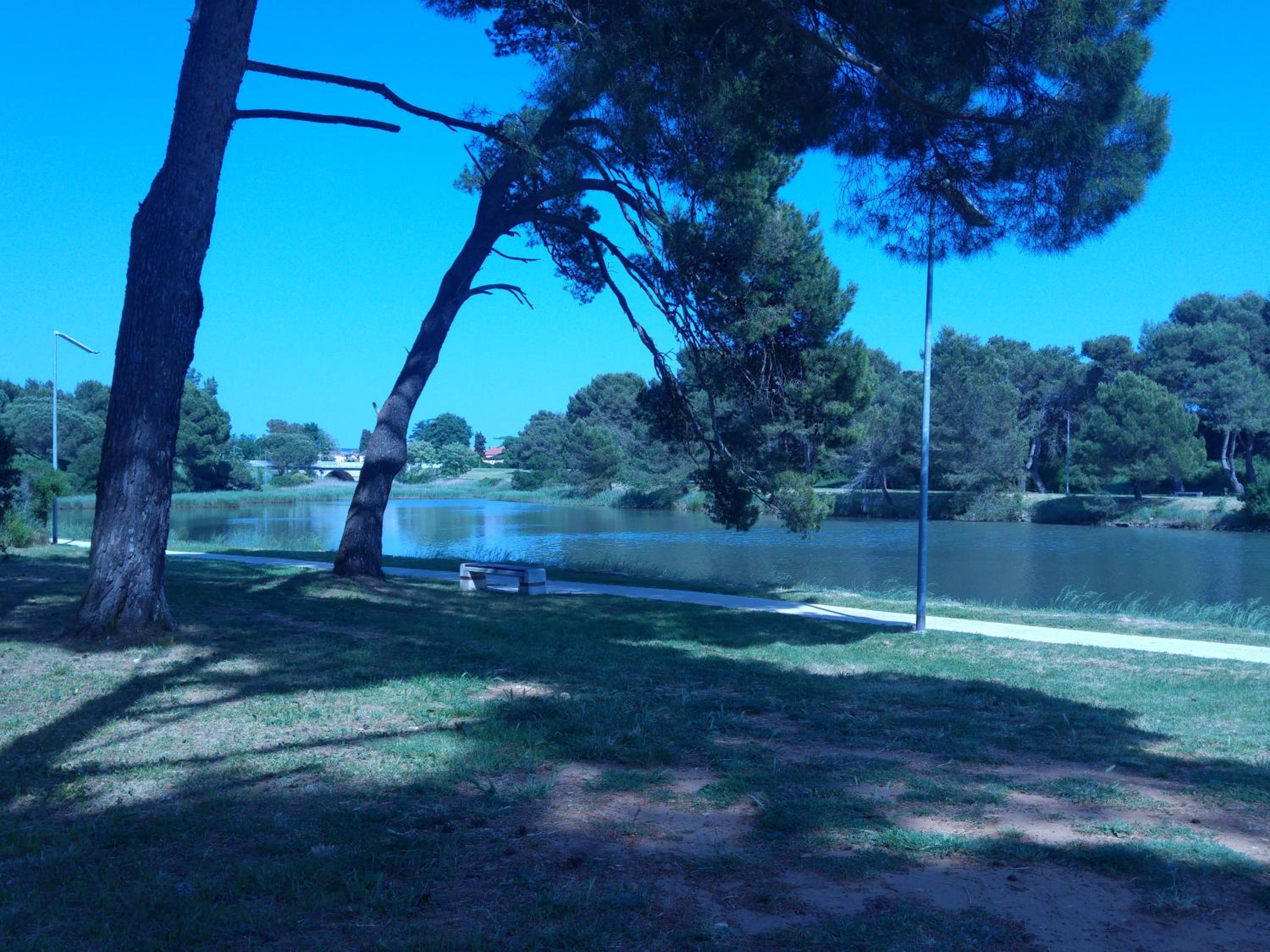 Photo 15