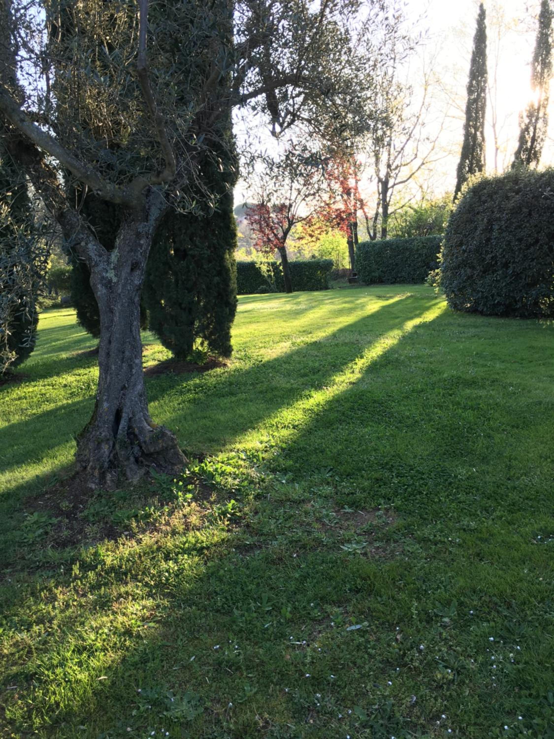BIO & B - ITALYKE