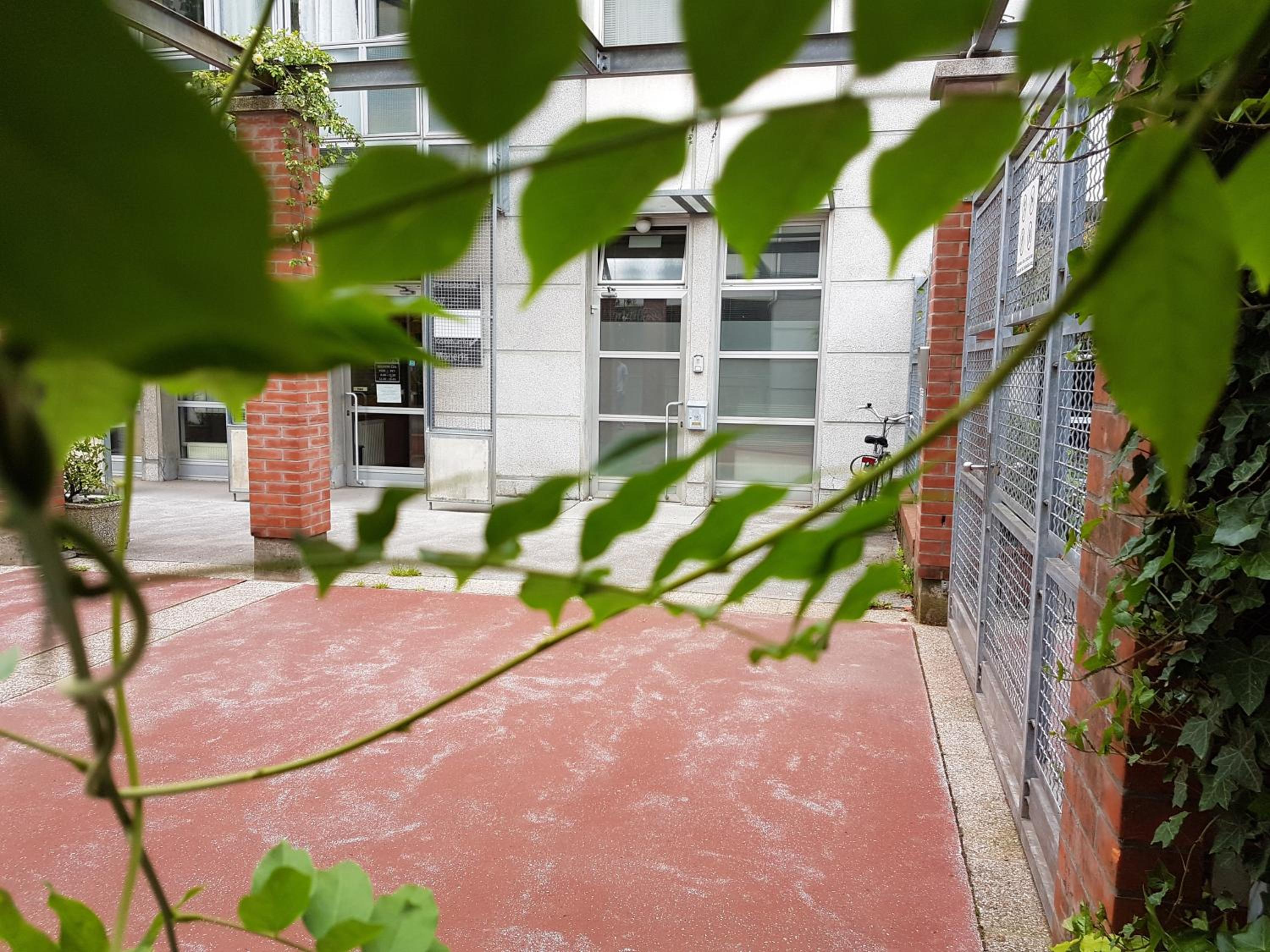 Photo 20