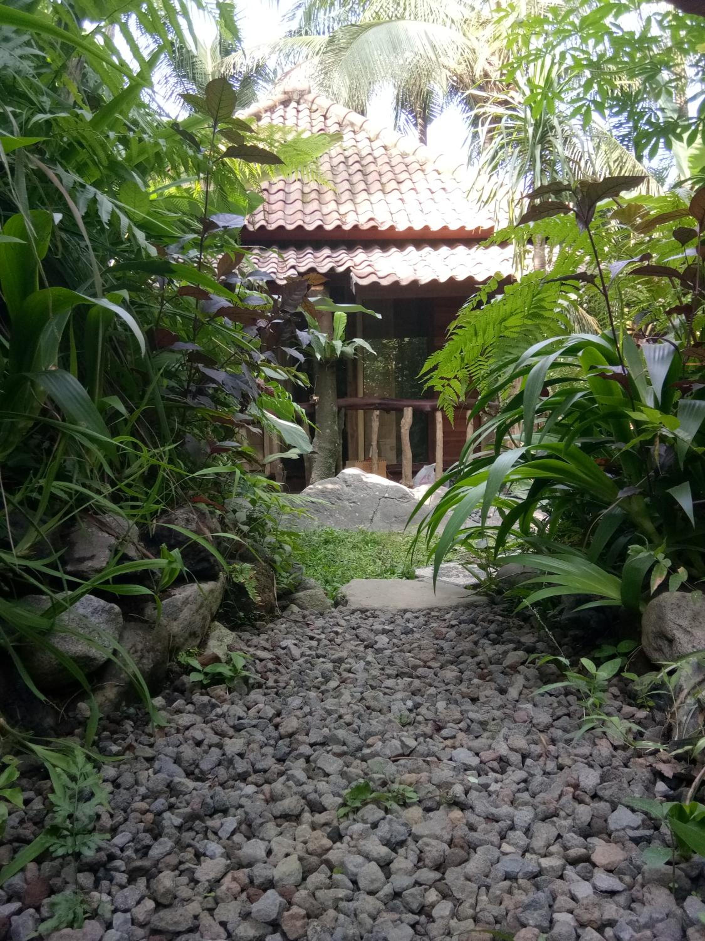 Photo 20