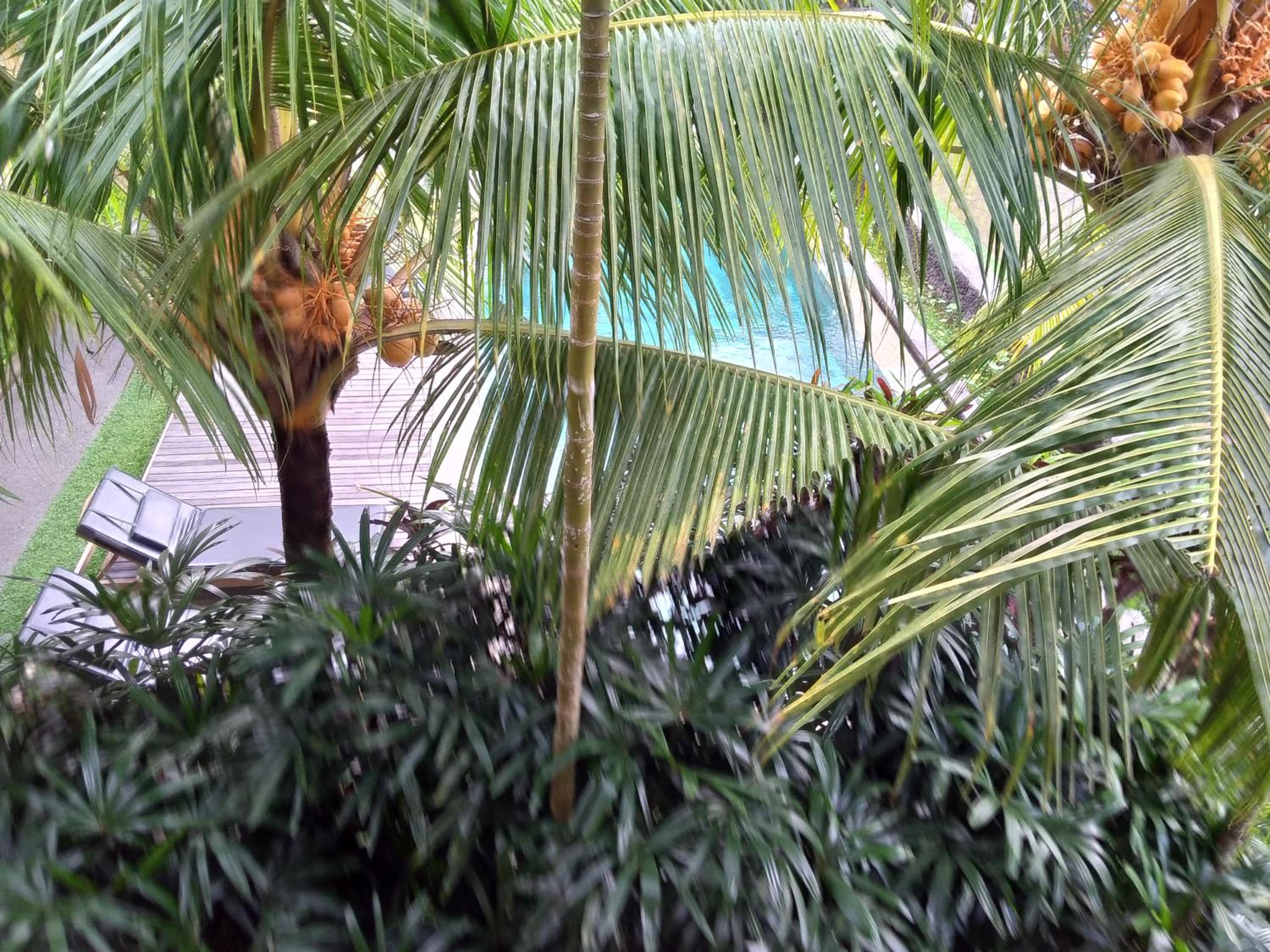 Ubud Lestari Bungalows view 4