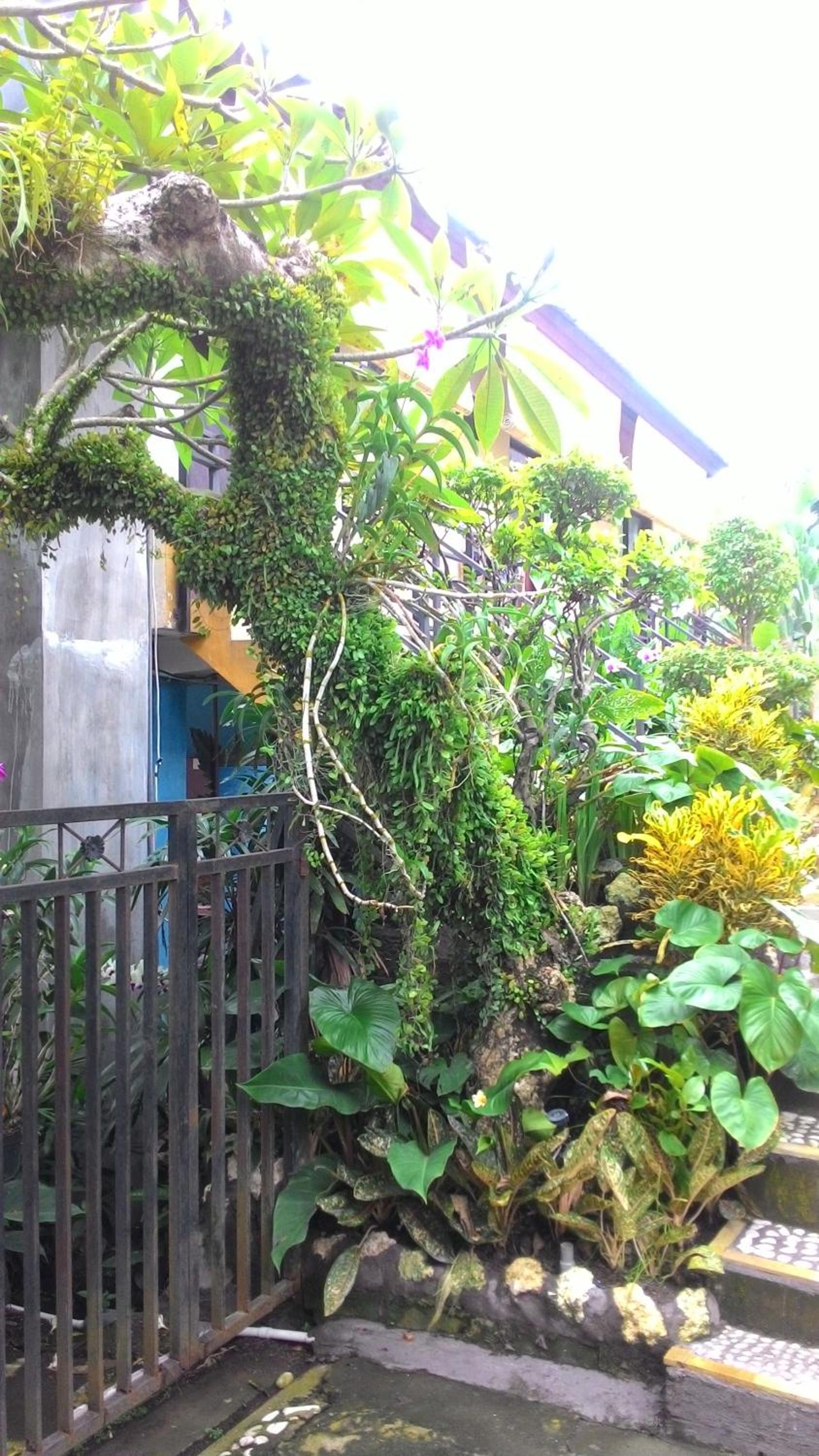 Betesda Guest House