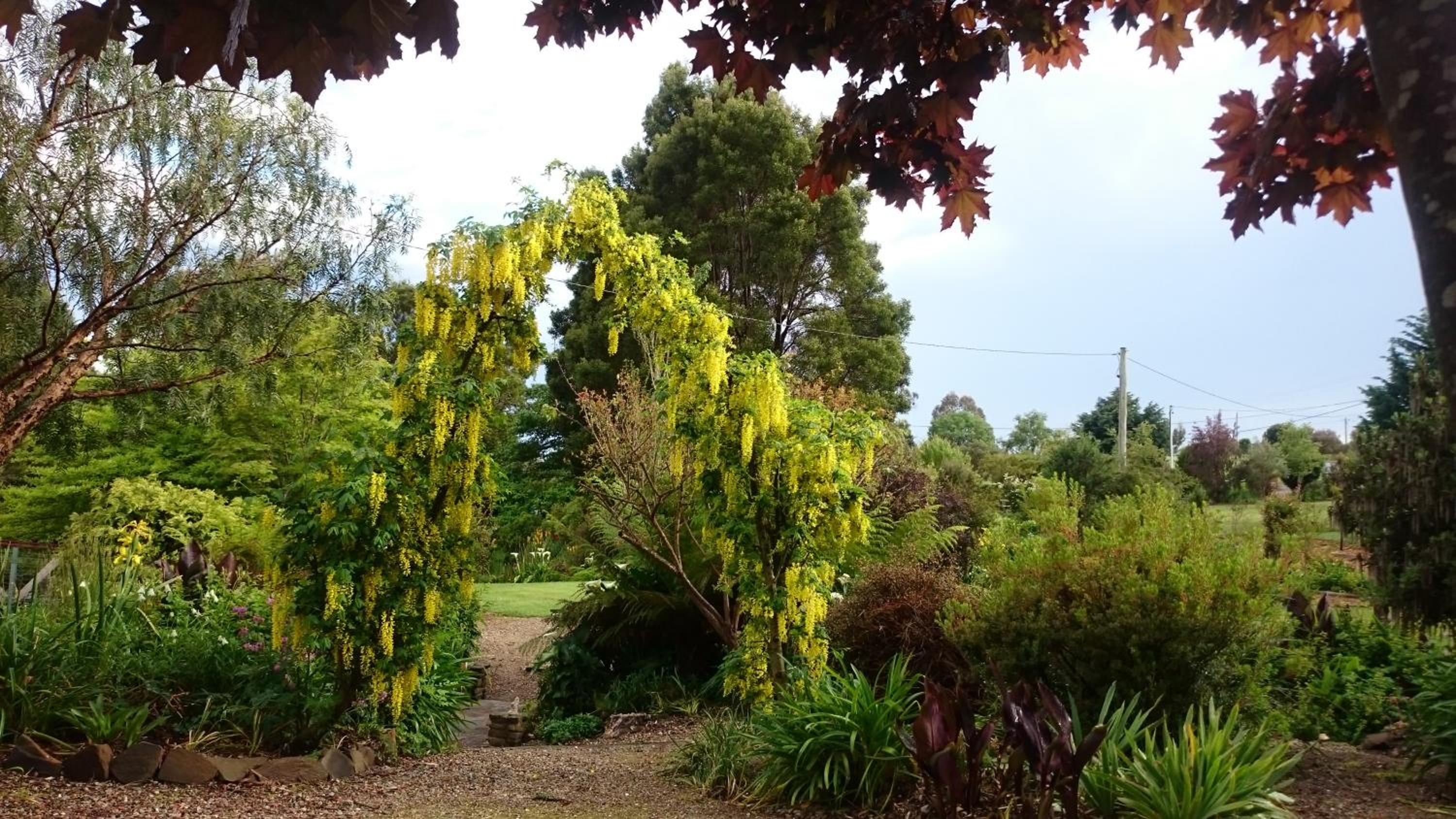 Altona Garden Retreat