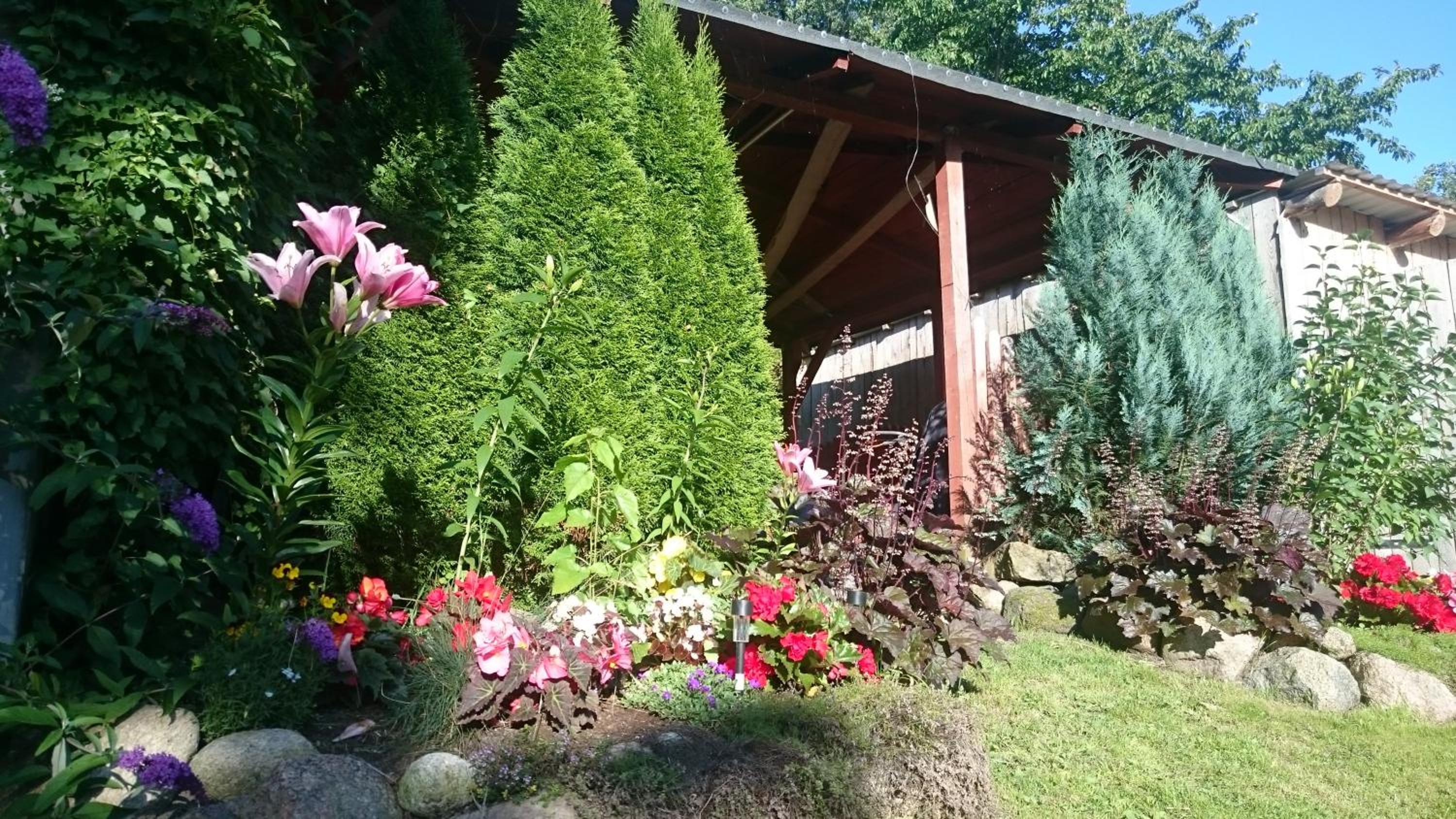 Photo 23