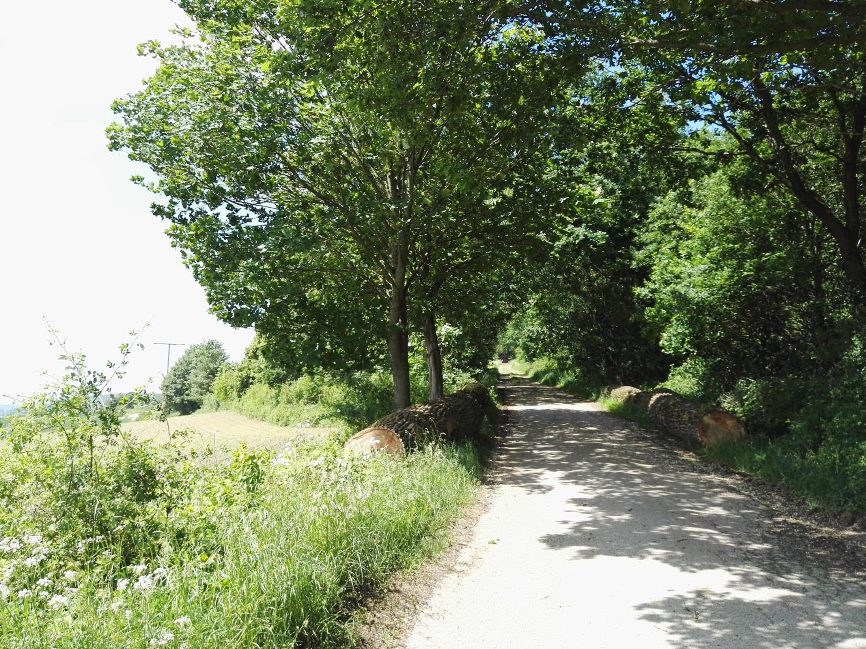 Pension Ridder