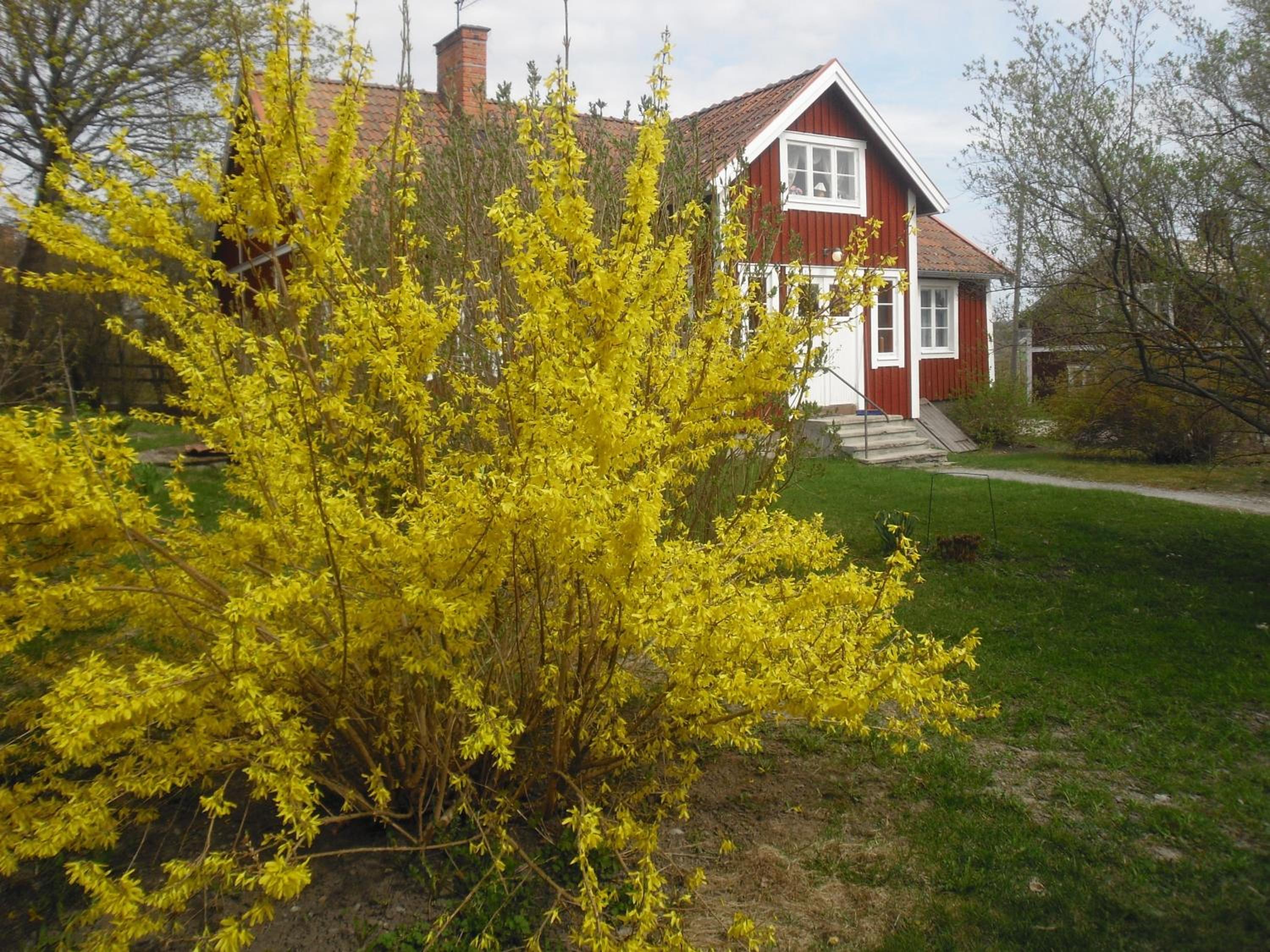 Brunnsta Gård