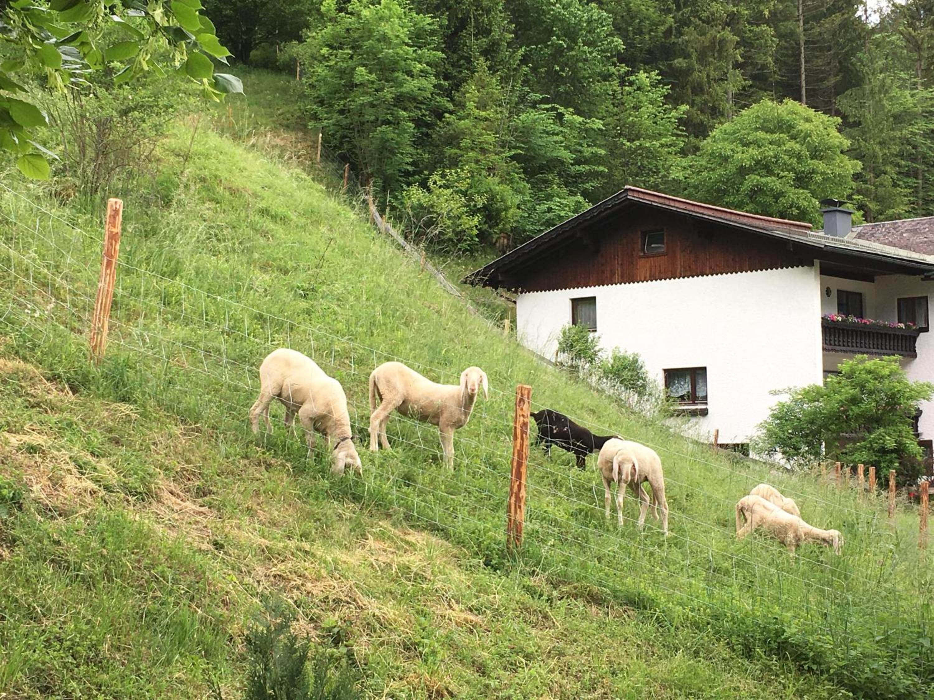 Chalet am Sonnenhang