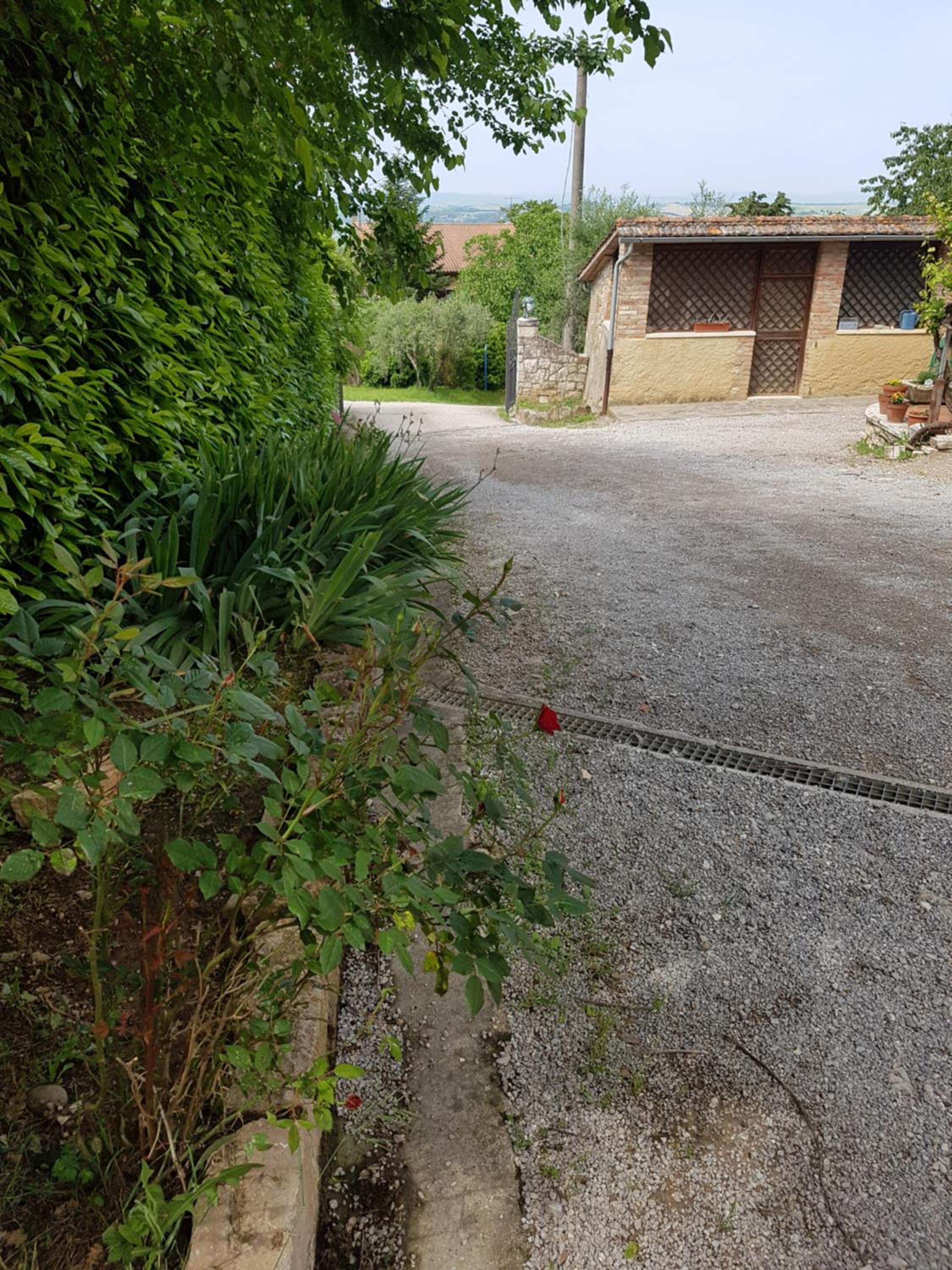 Photo 38